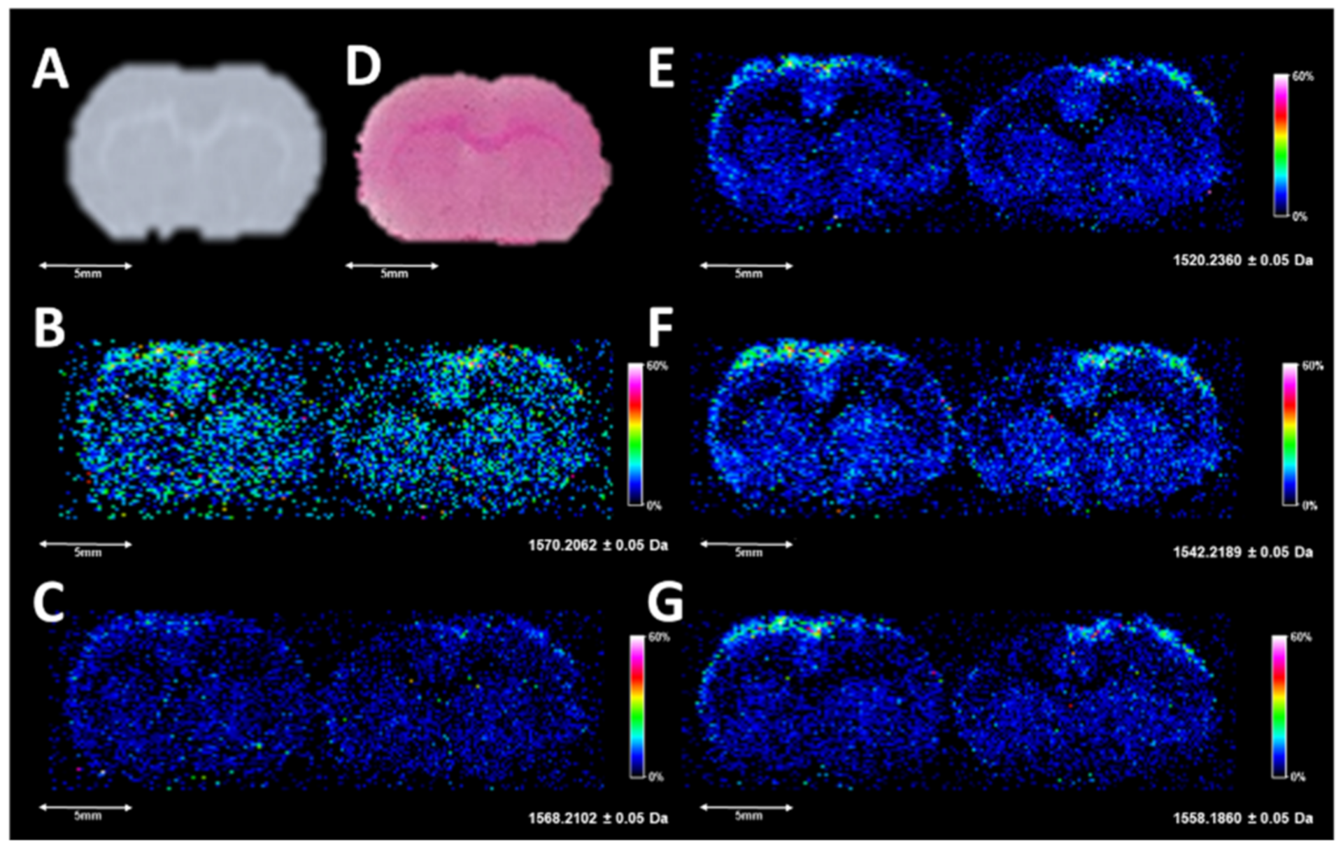 Metabolites 11 00253 g004