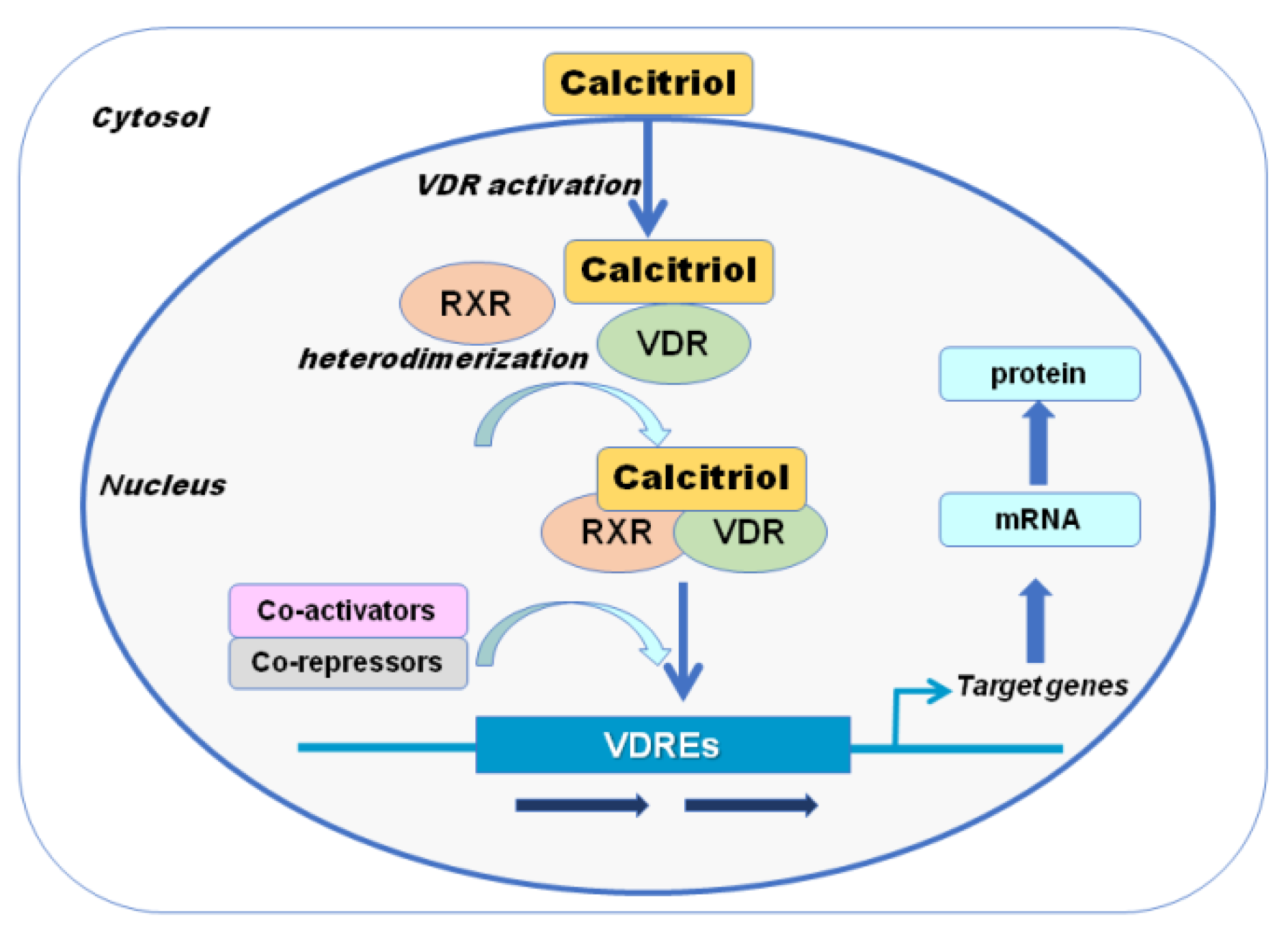 Metabolites 11 00255 g002 Metabolites 11 00255 g002
