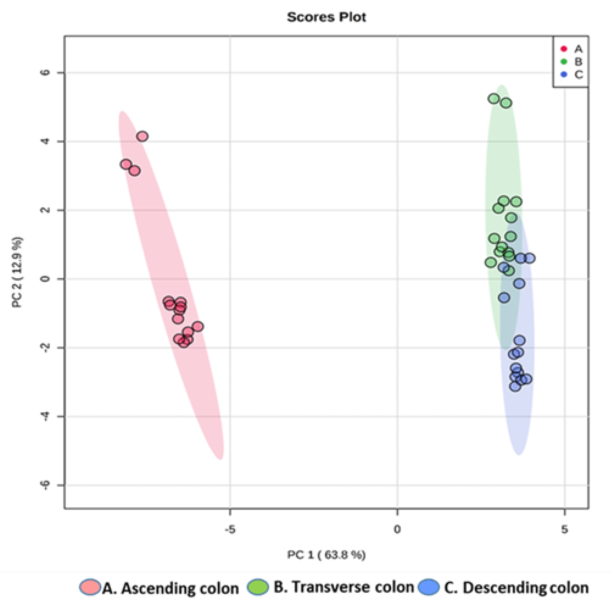 Metabolites 11 00262 g004