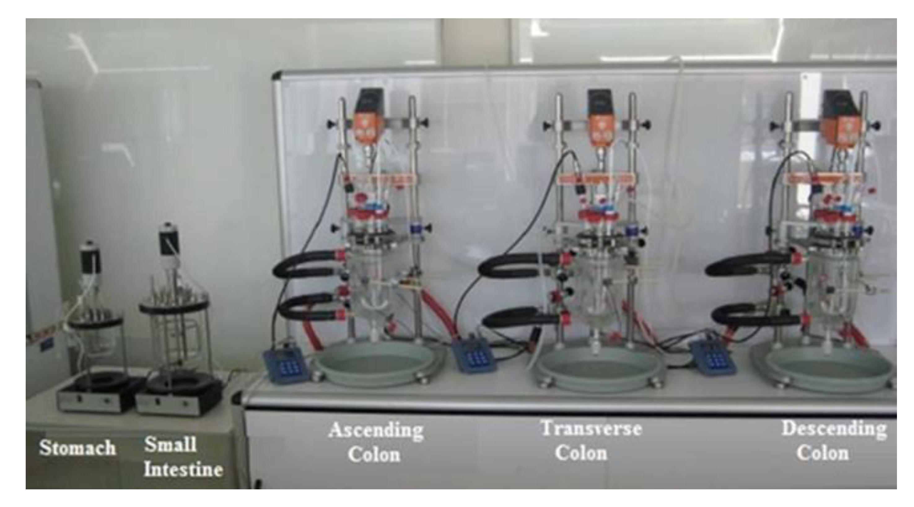 Metabolites 11 00262 g008