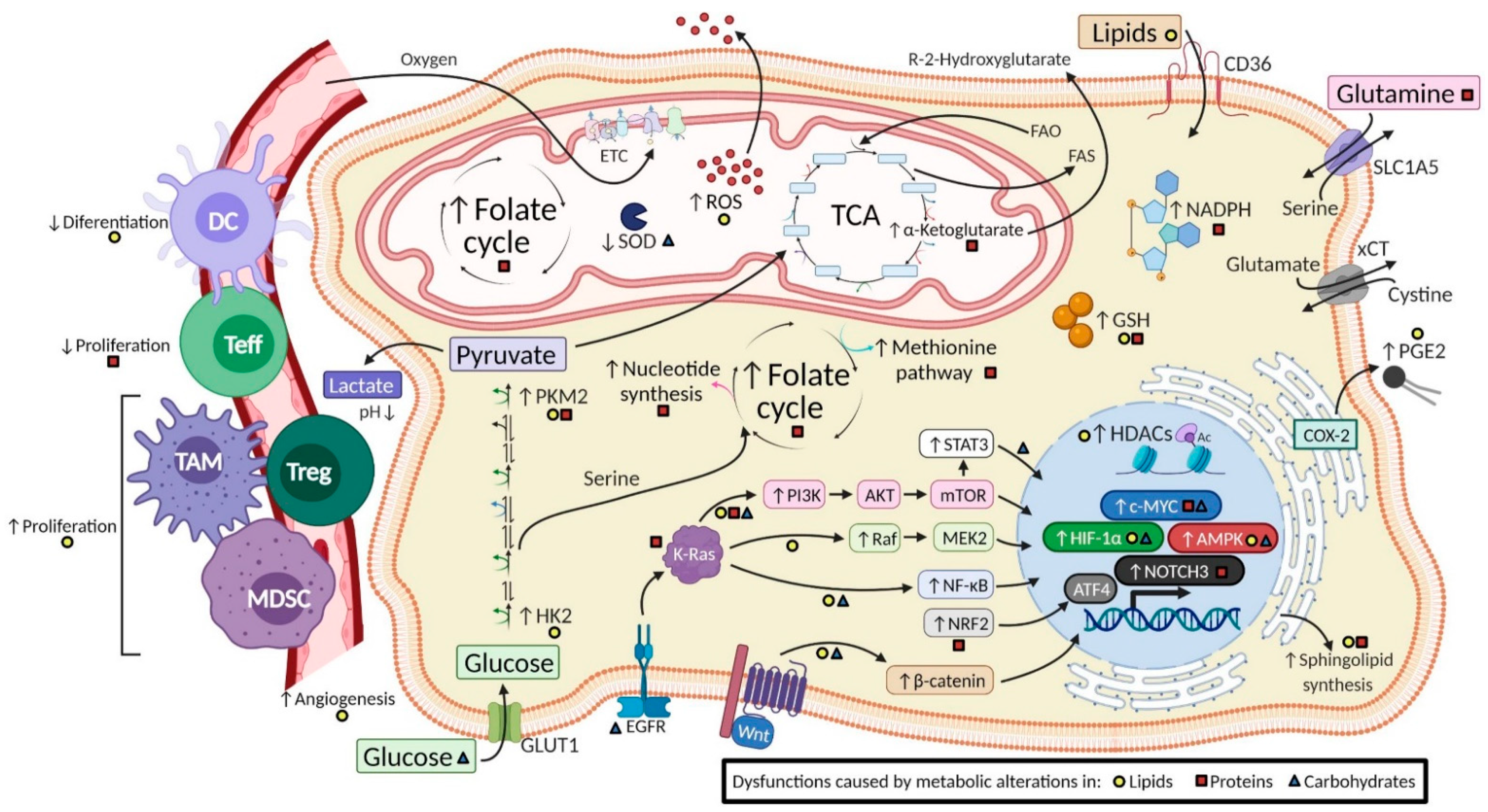 Metabolites 11 00264 g001