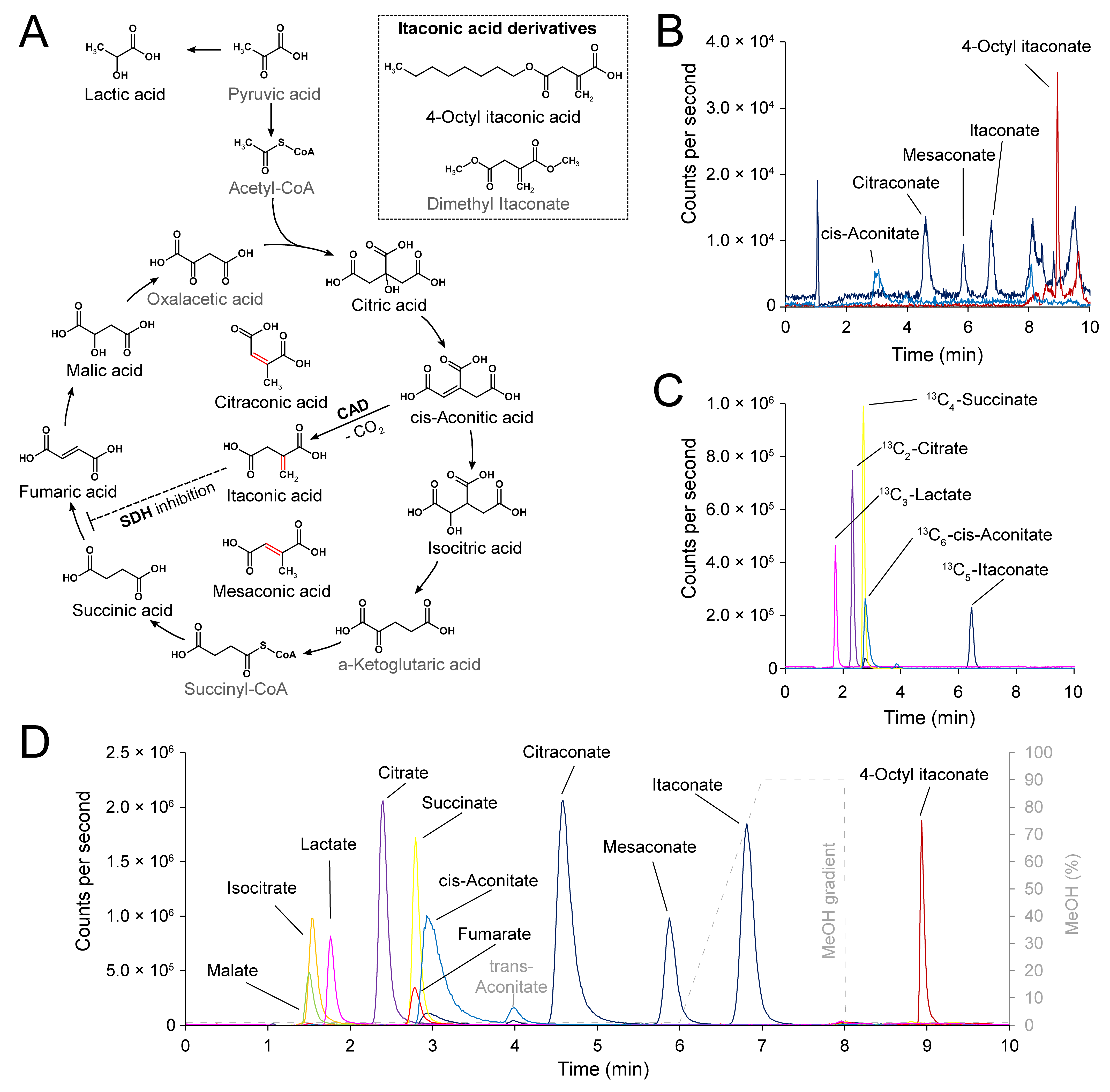 Metabolites 11 00270 g001 Metabolites 11 00270 g001