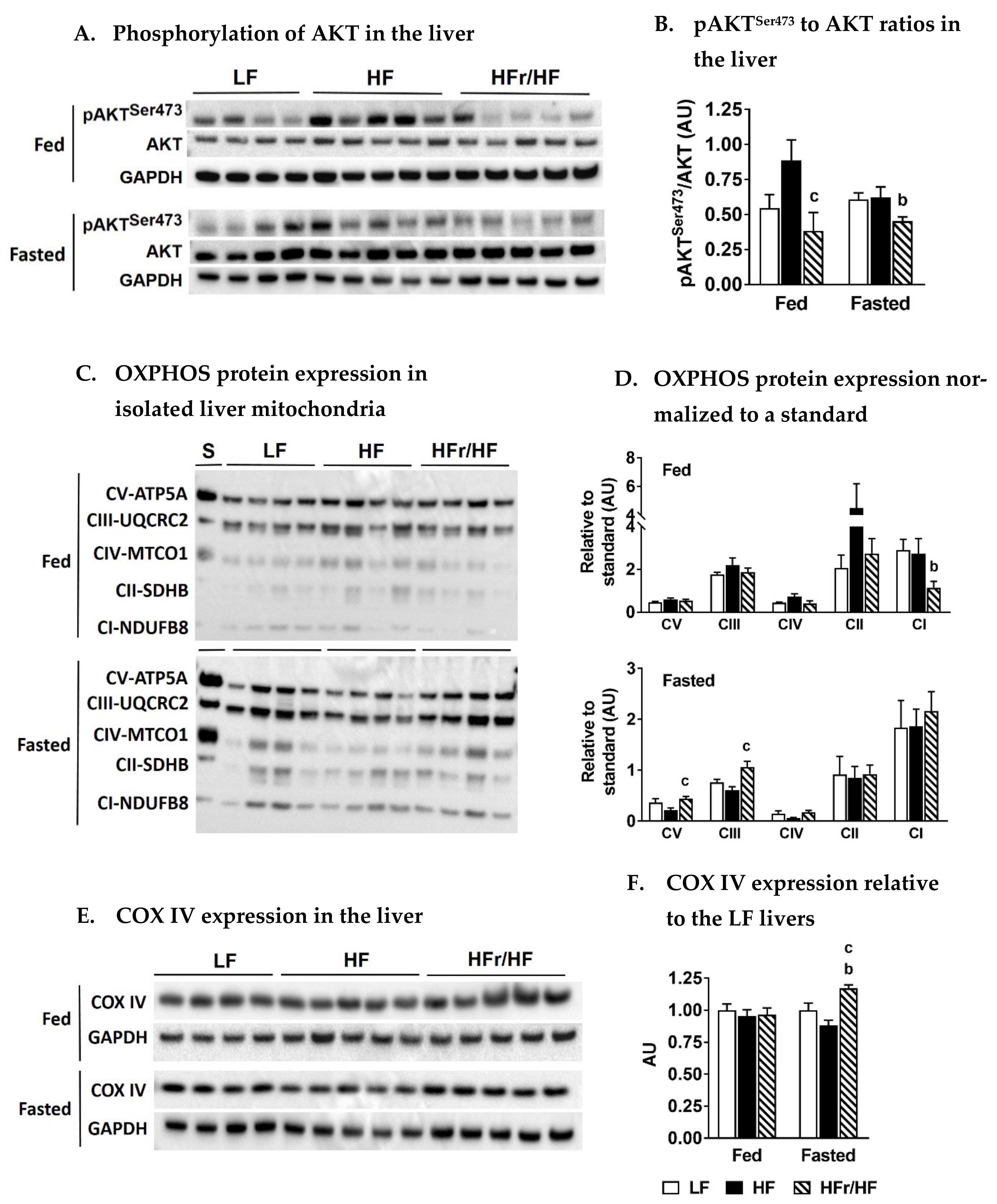 Metabolites 11 00272 g002