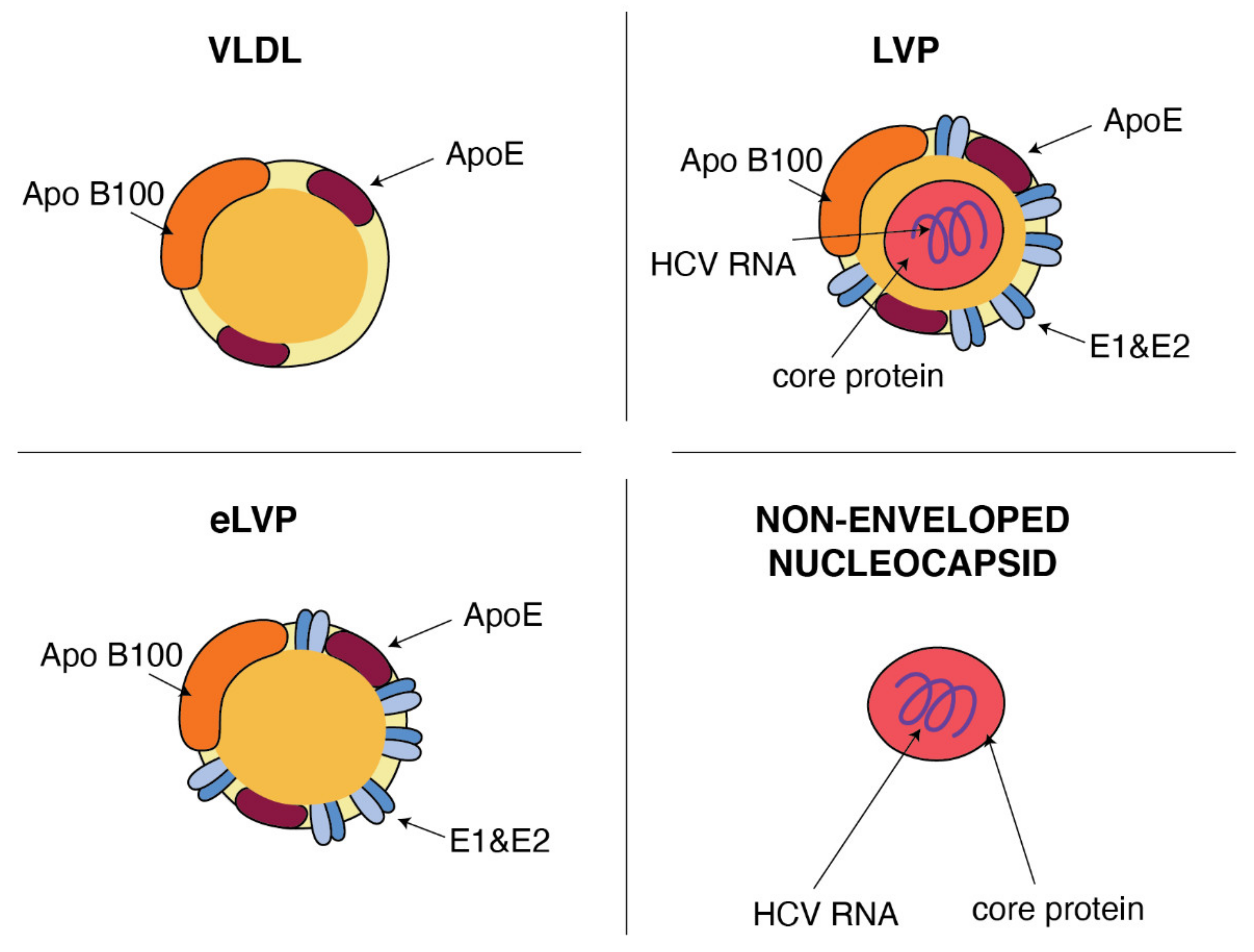 Metabolites 11 00273 g002