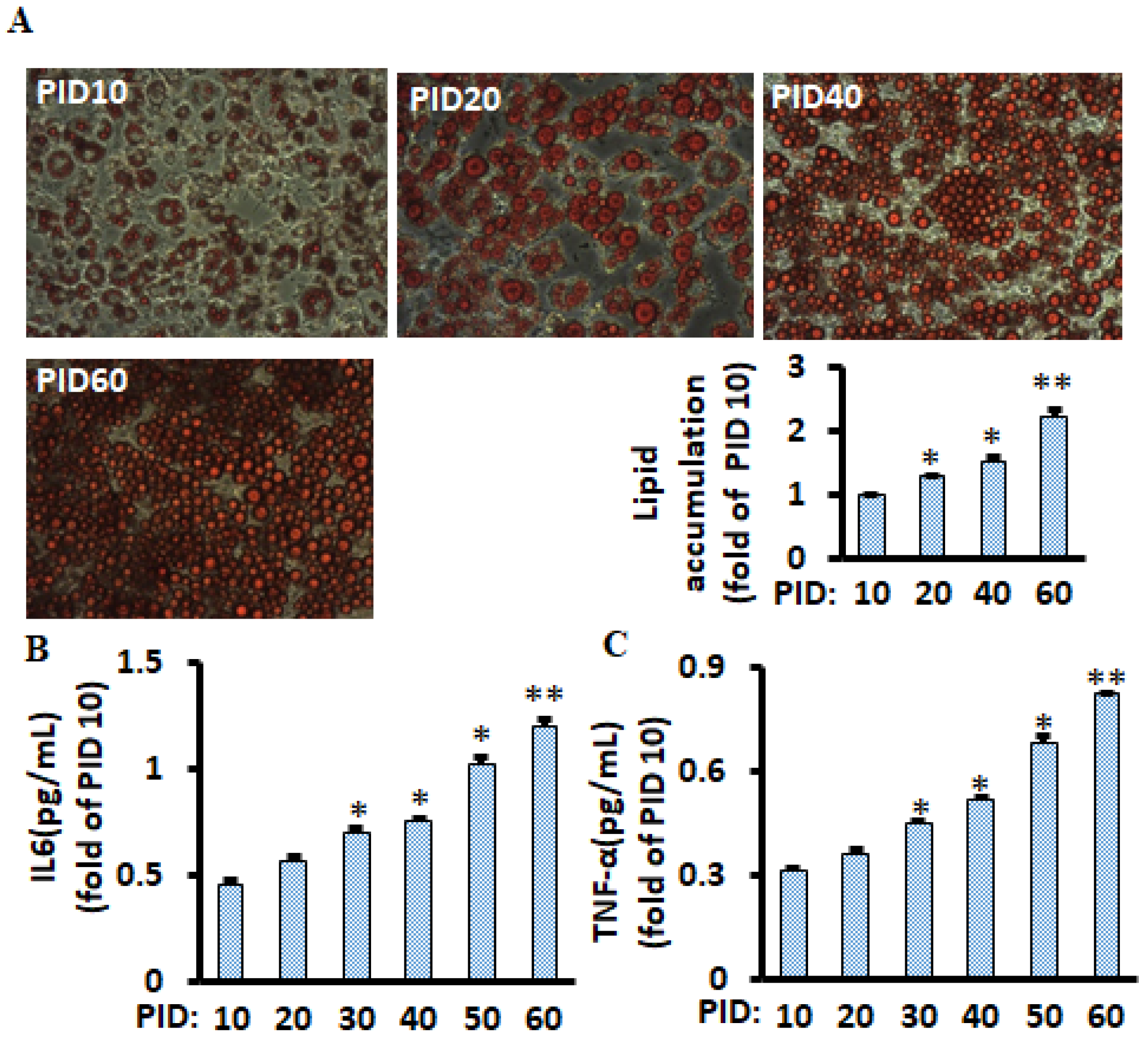 Metabolites 11 00292 g001 Metabolites 11 00292 g001