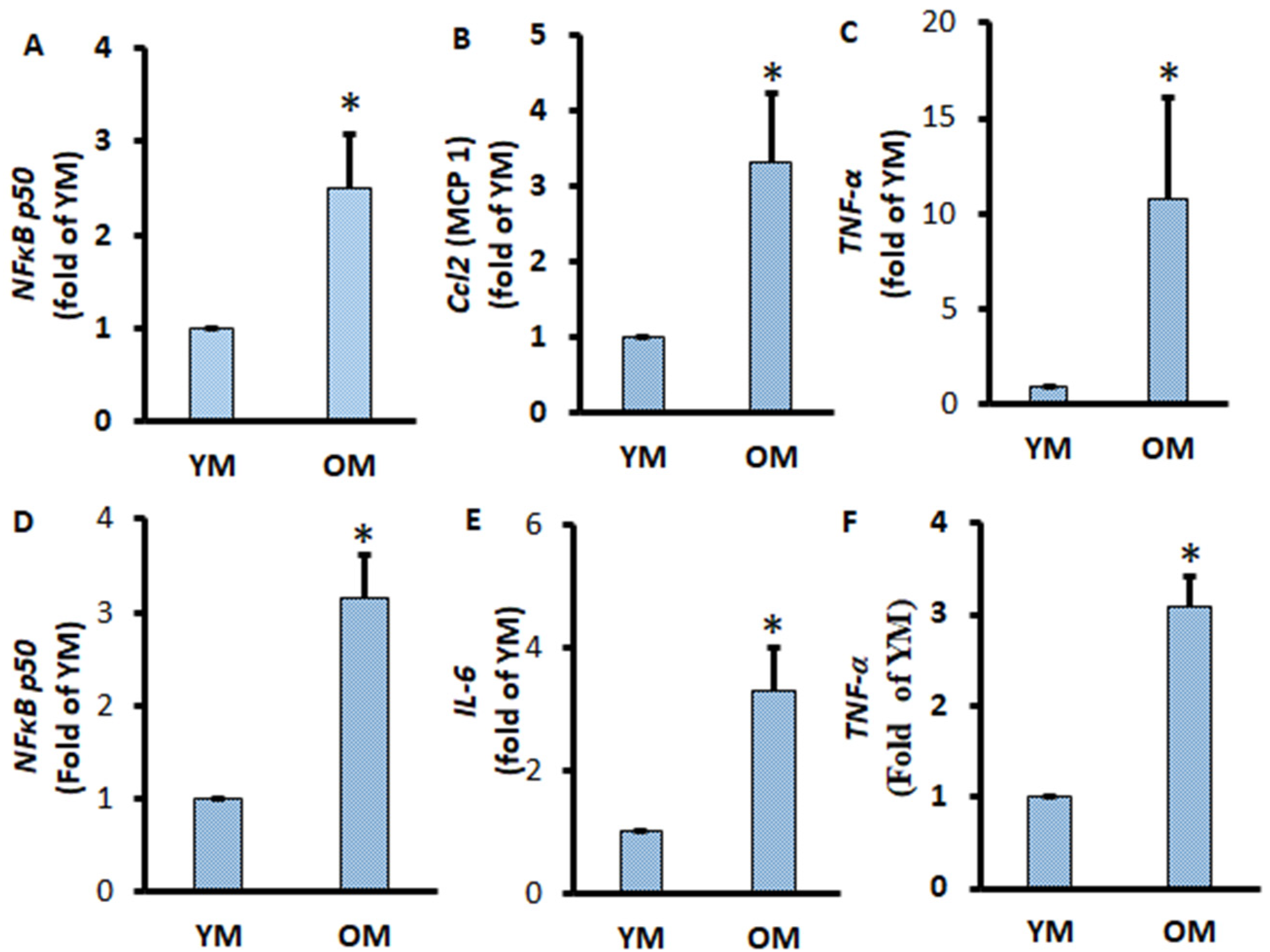 Metabolites 11 00292 g005 Metabolites 11 00292 g005