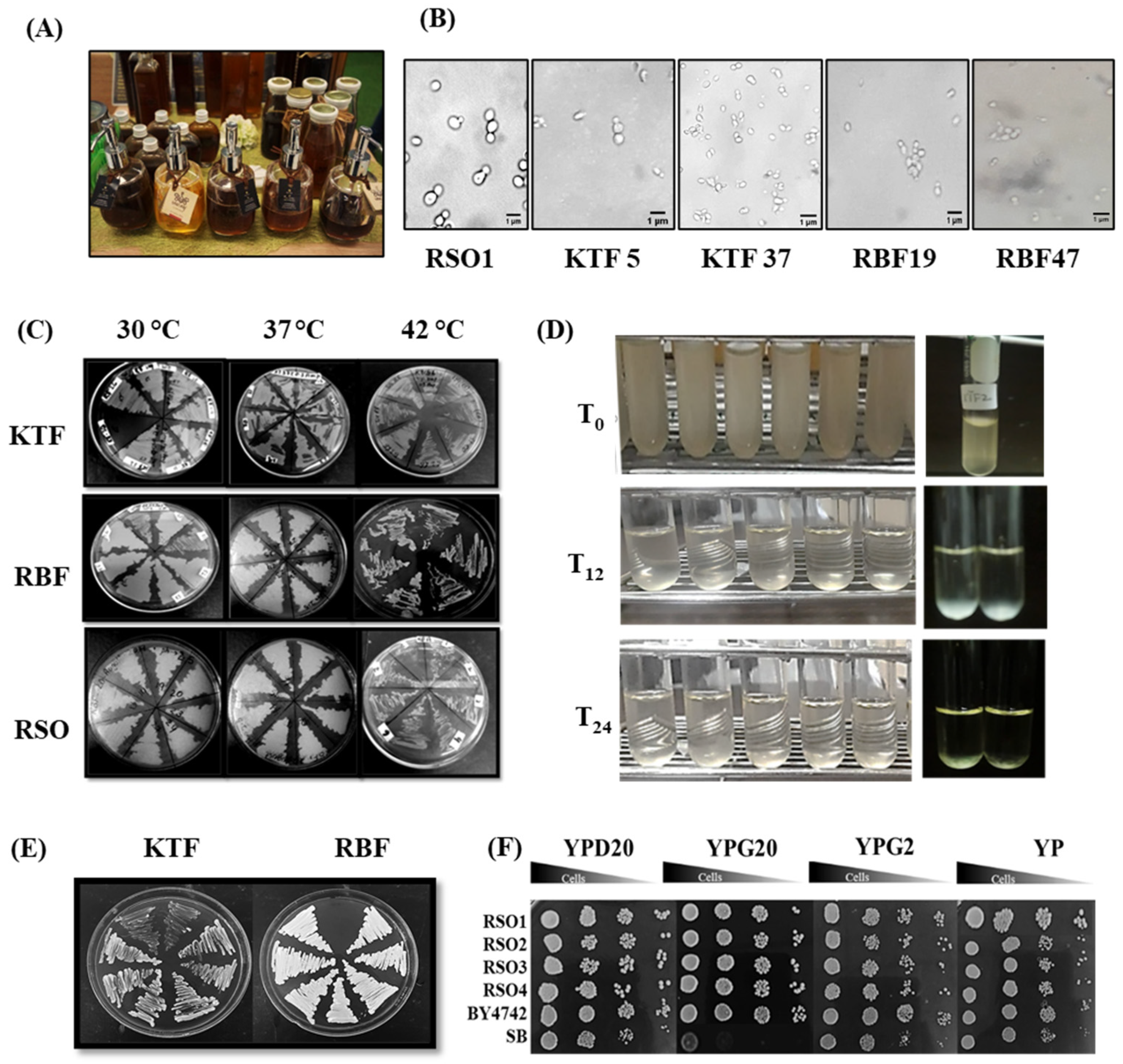 Metabolites 11 00312 g001 Metabolites 11 00312 g001
