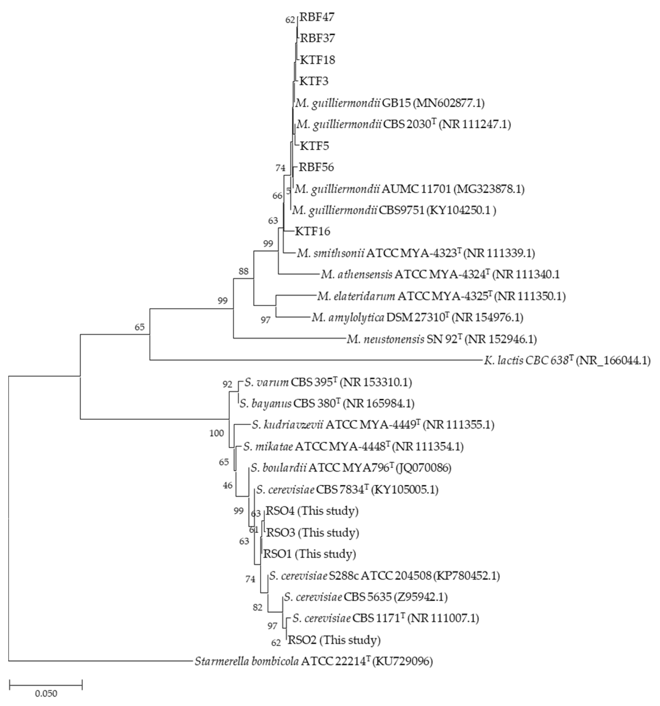 Metabolites 11 00312 g002 Metabolites 11 00312 g002