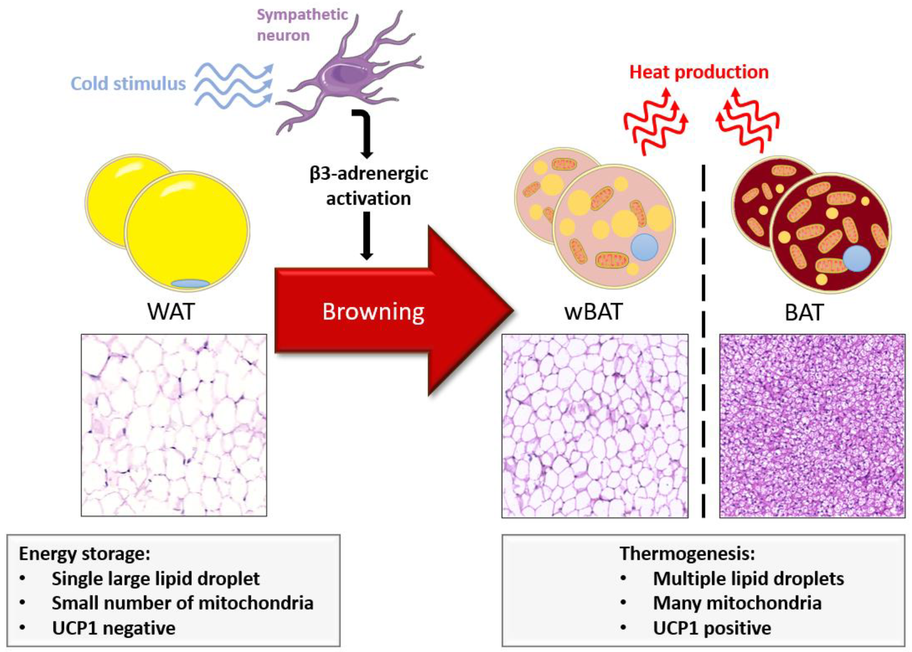 Metabolites 11 00319 g001