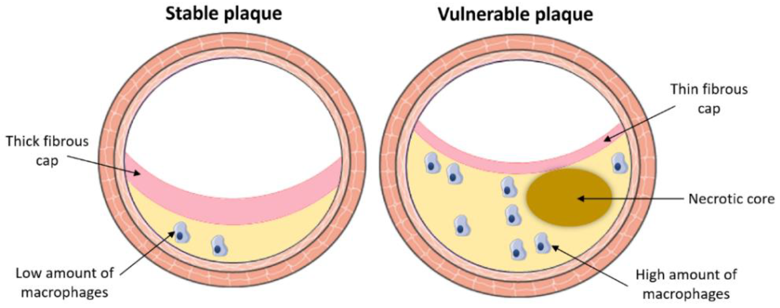 Metabolites 11 00319 g002