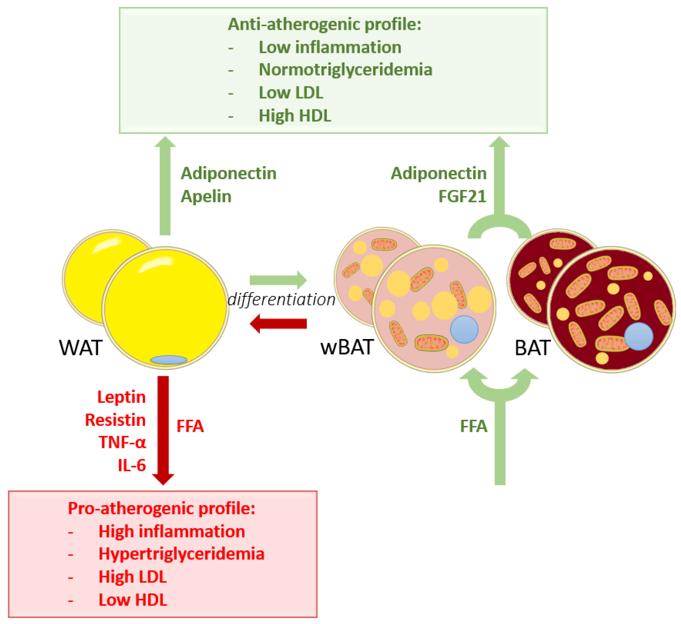 Metabolites 11 00319 g003