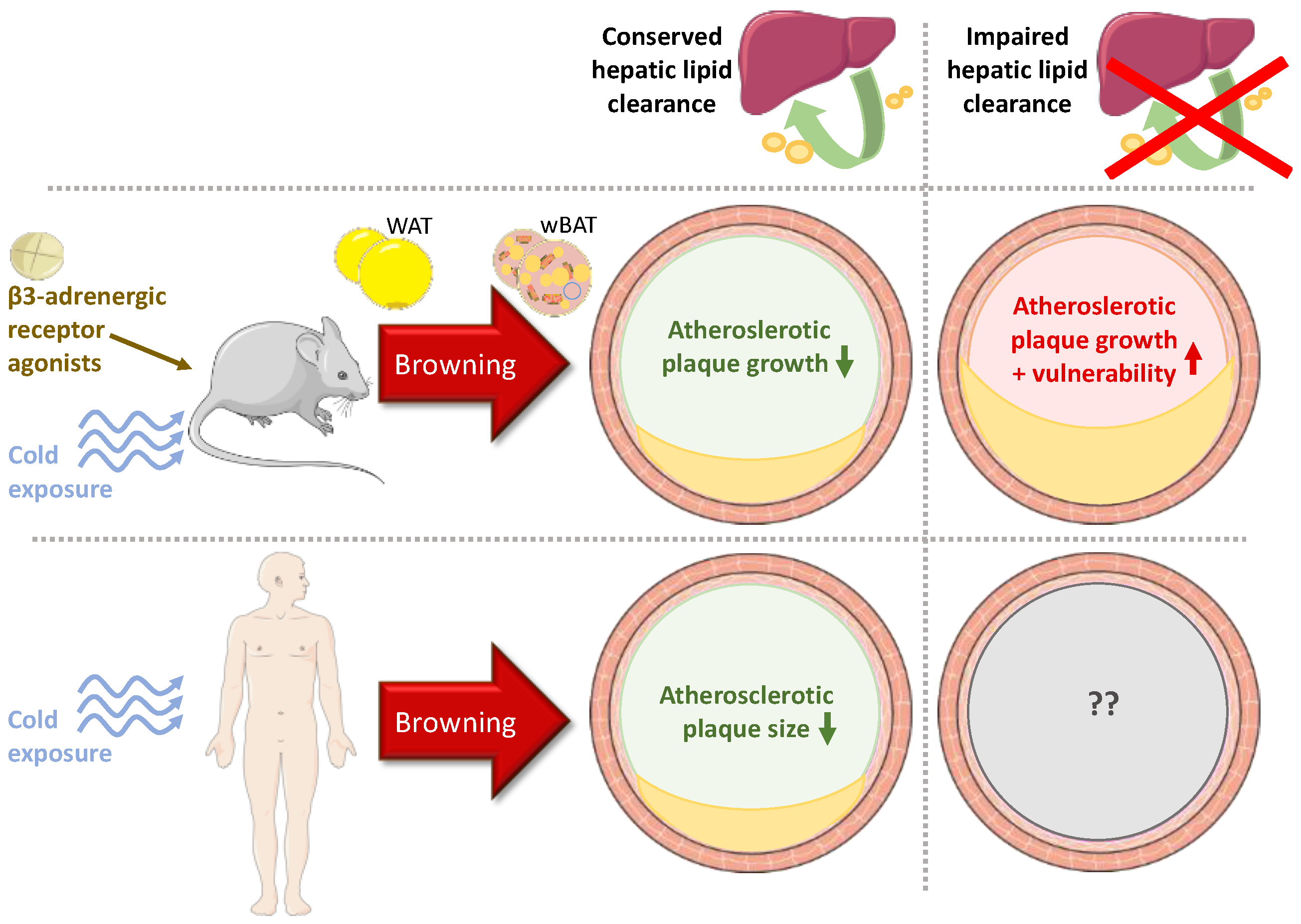 Metabolites 11 00319 g004