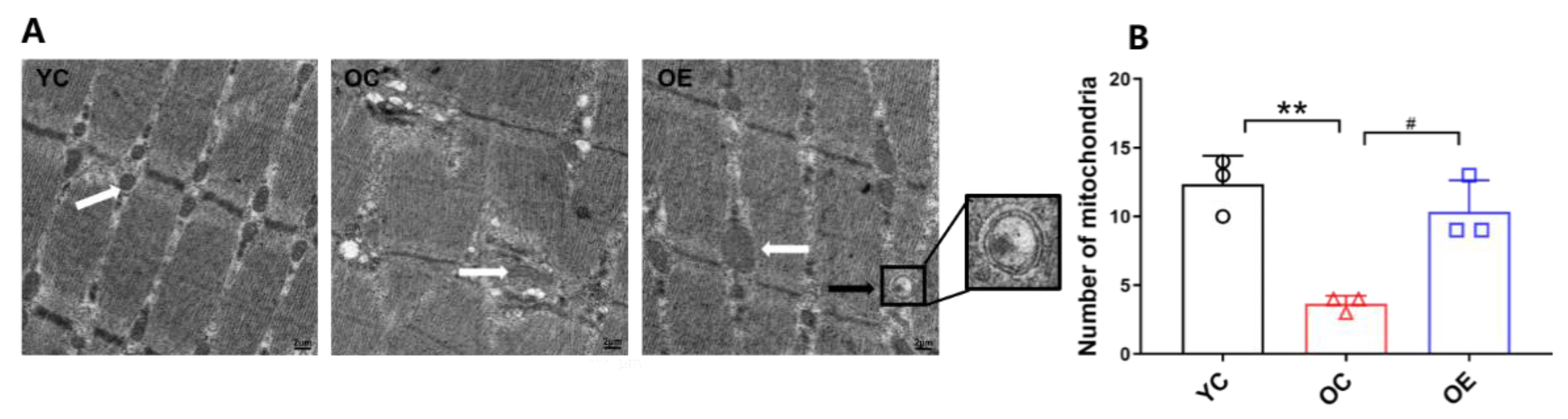 Metabolites 11 00323 g002 Metabolites 11 00323 g002