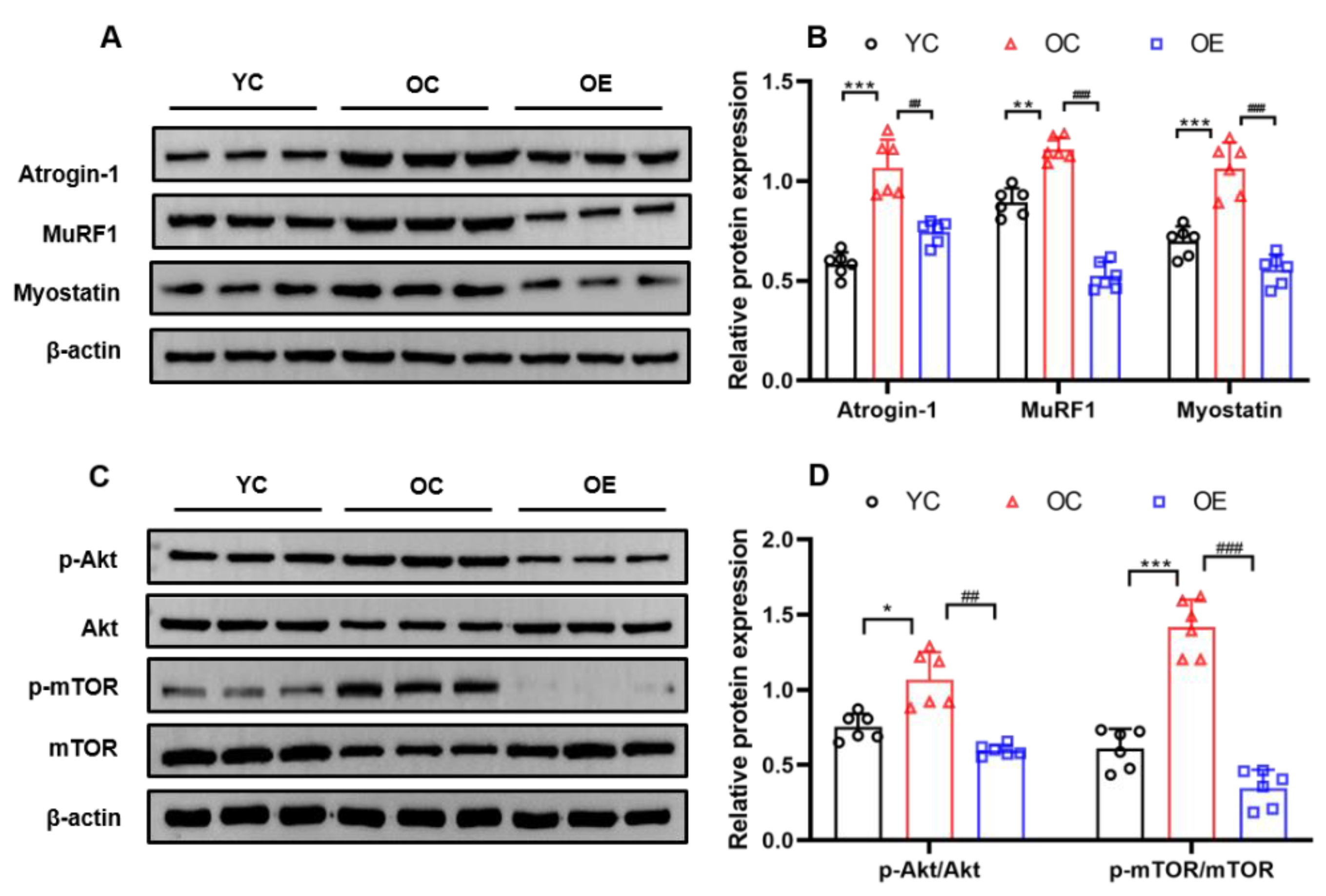 Metabolites 11 00323 g004 Metabolites 11 00323 g004