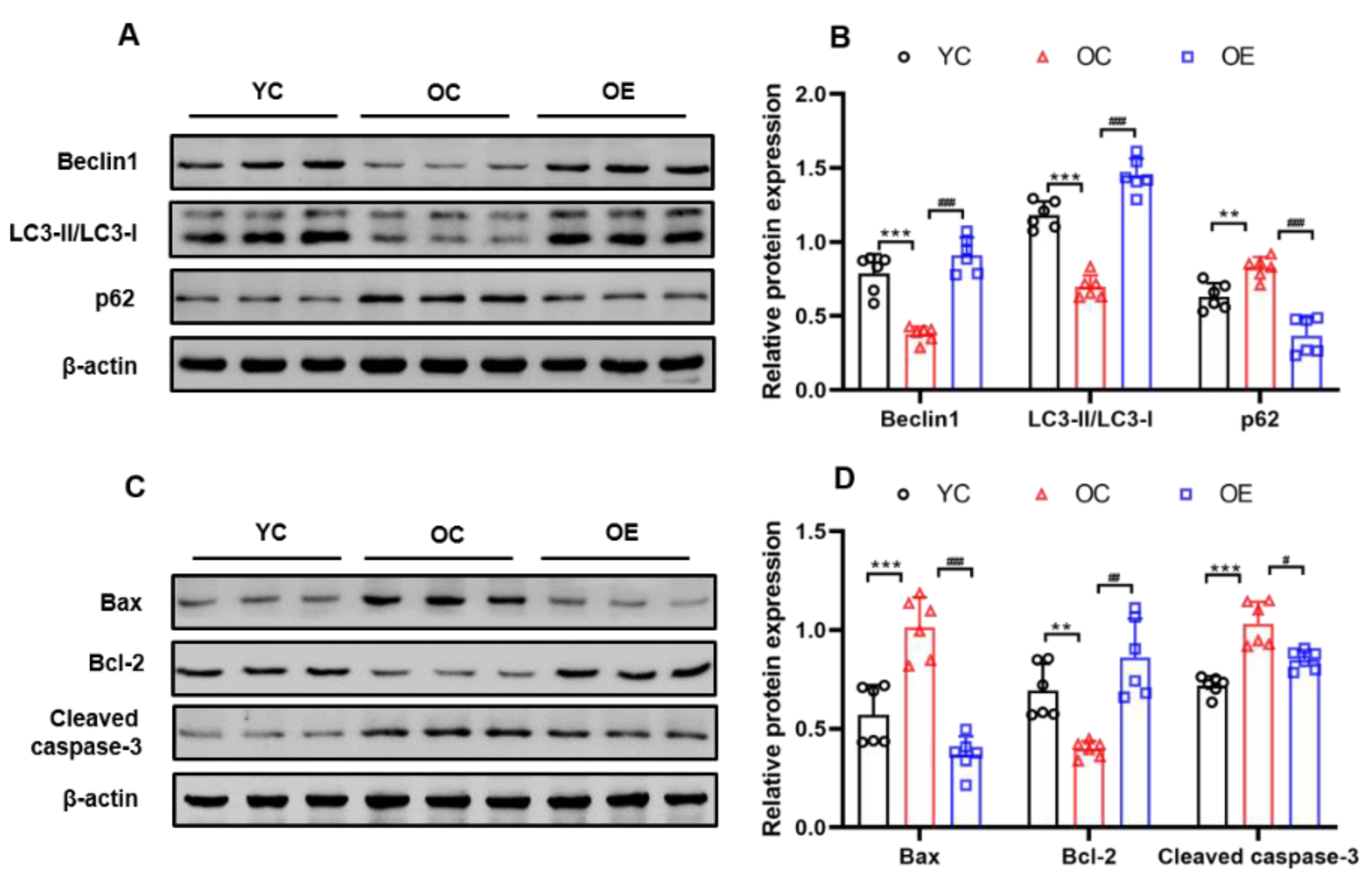 Metabolites 11 00323 g005 Metabolites 11 00323 g005