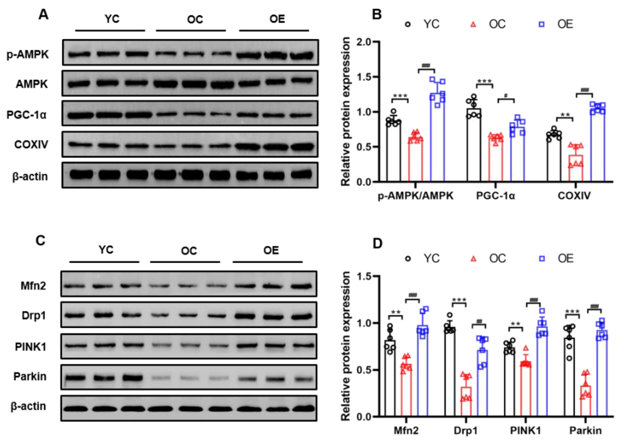 Metabolites 11 00323 g006 Metabolites 11 00323 g006