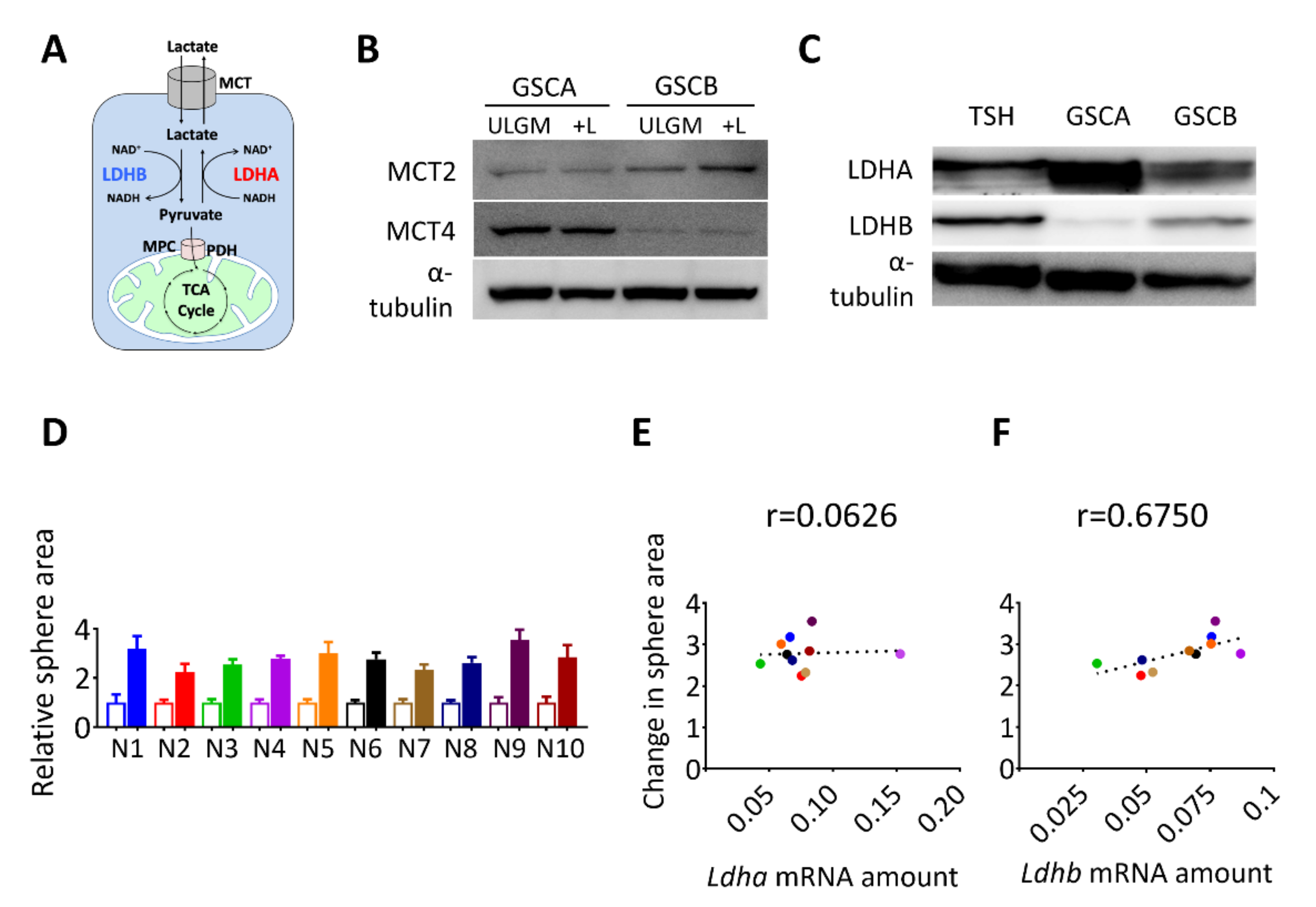 Metabolites 11 00325 g002