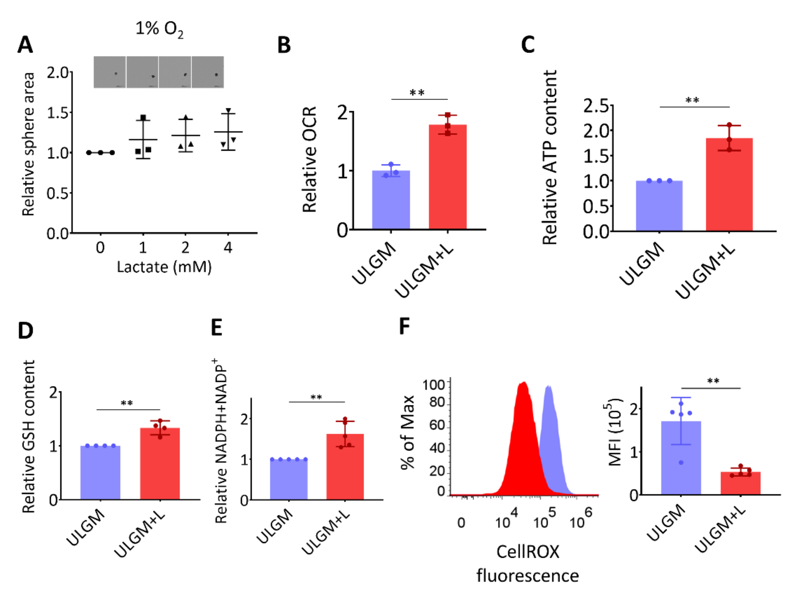 Metabolites 11 00325 g003