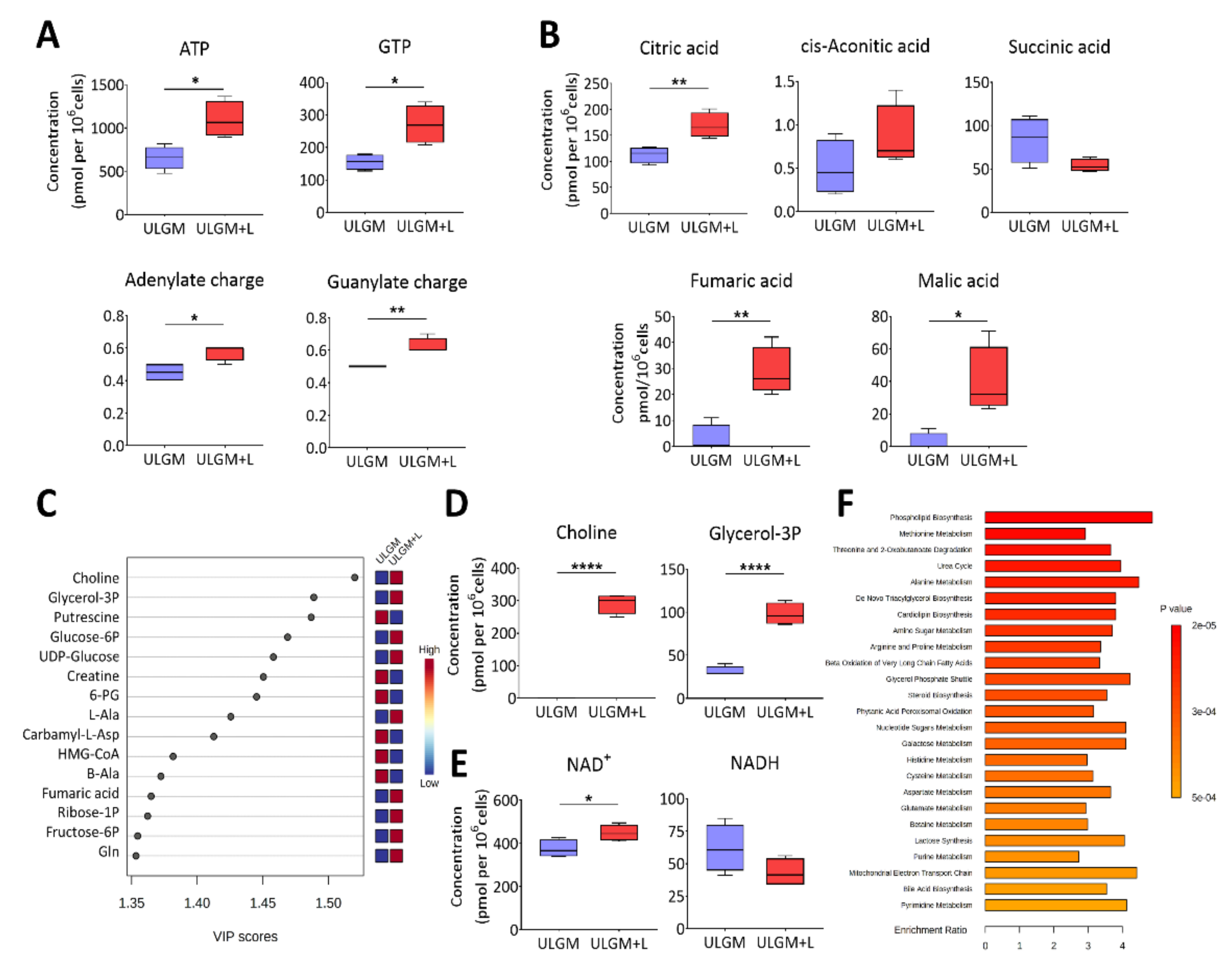 Metabolites 11 00325 g004