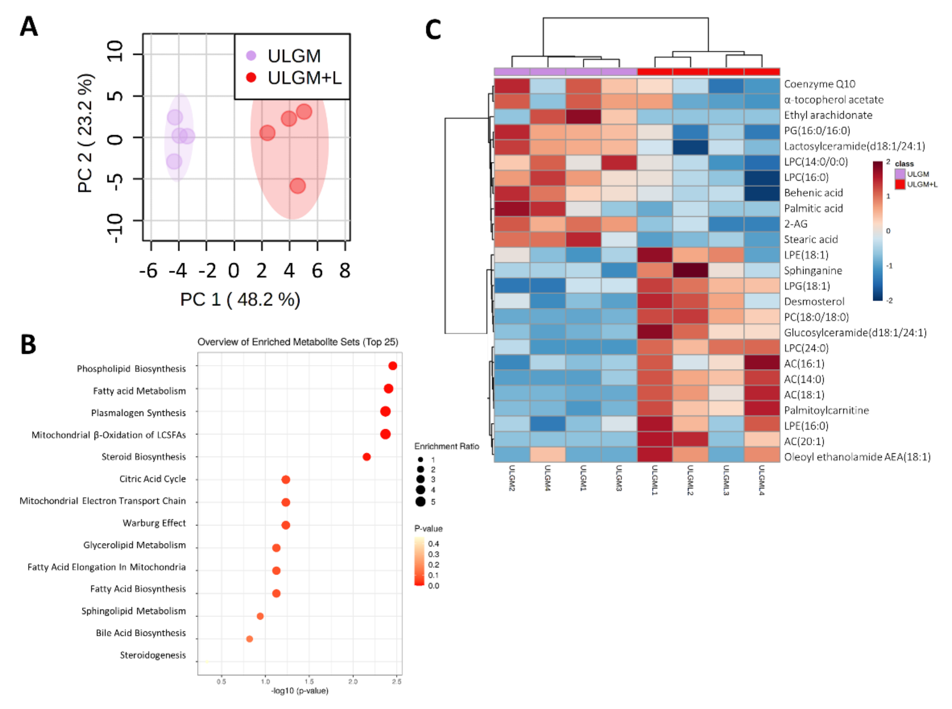 Metabolites 11 00325 g005