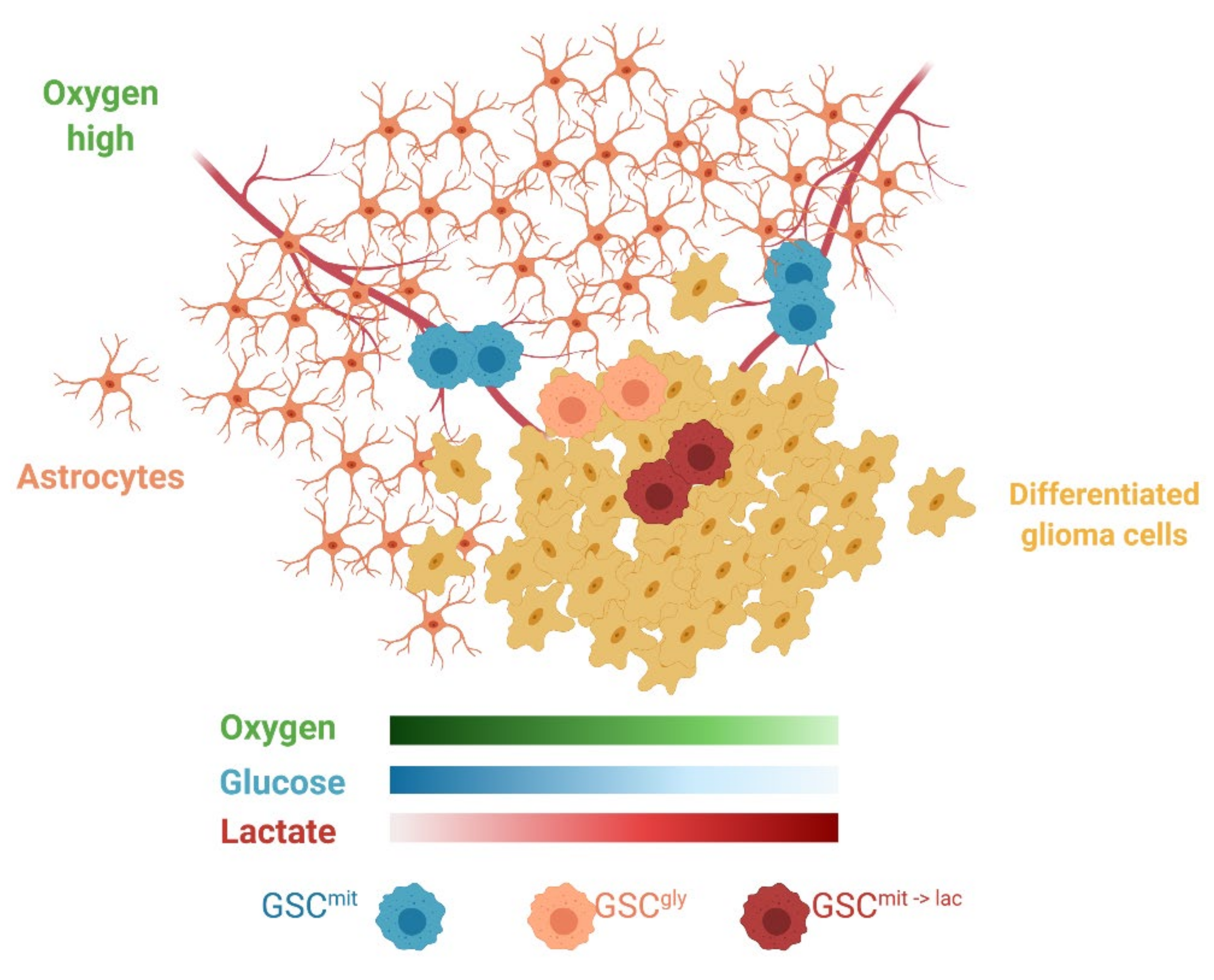 Metabolites 11 00325 g007