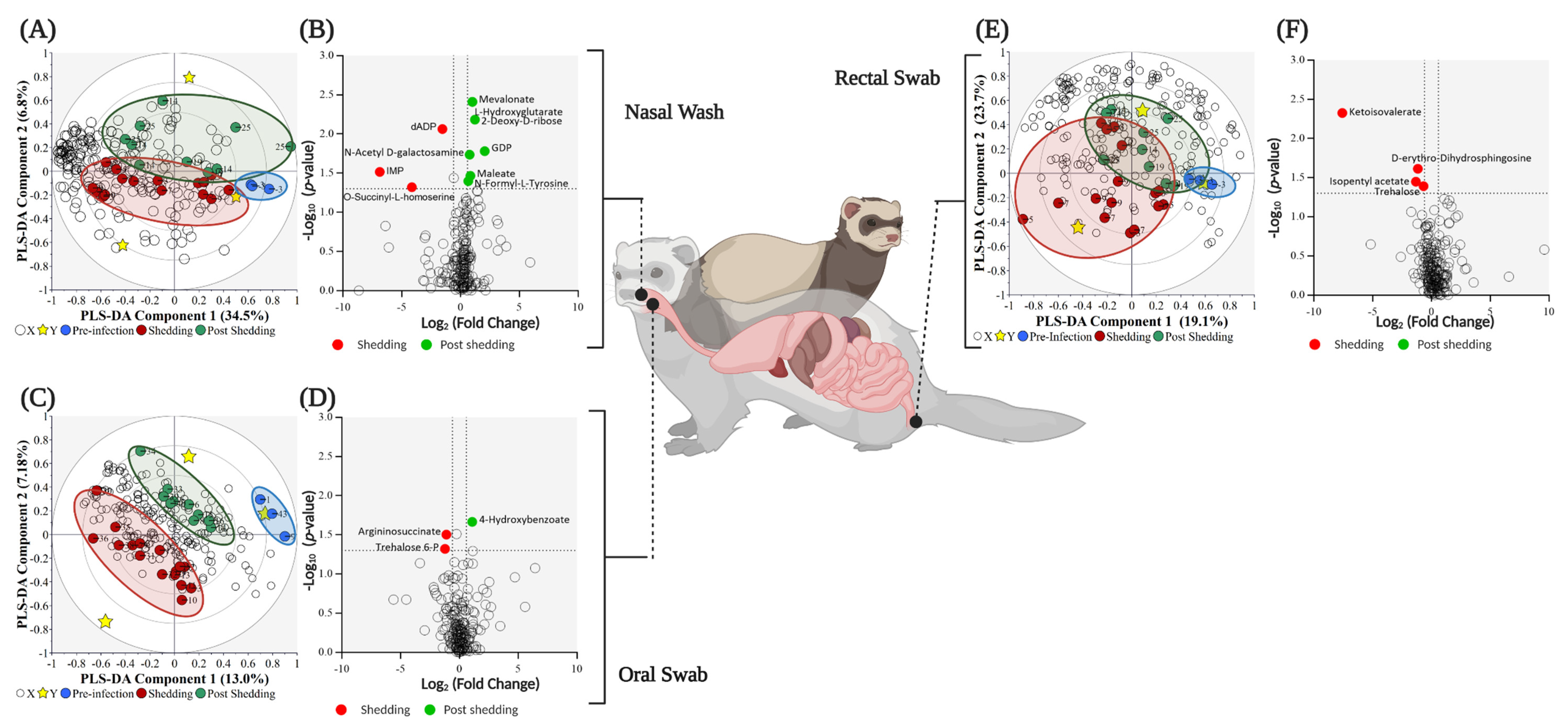 Metabolites 11 00327 g002