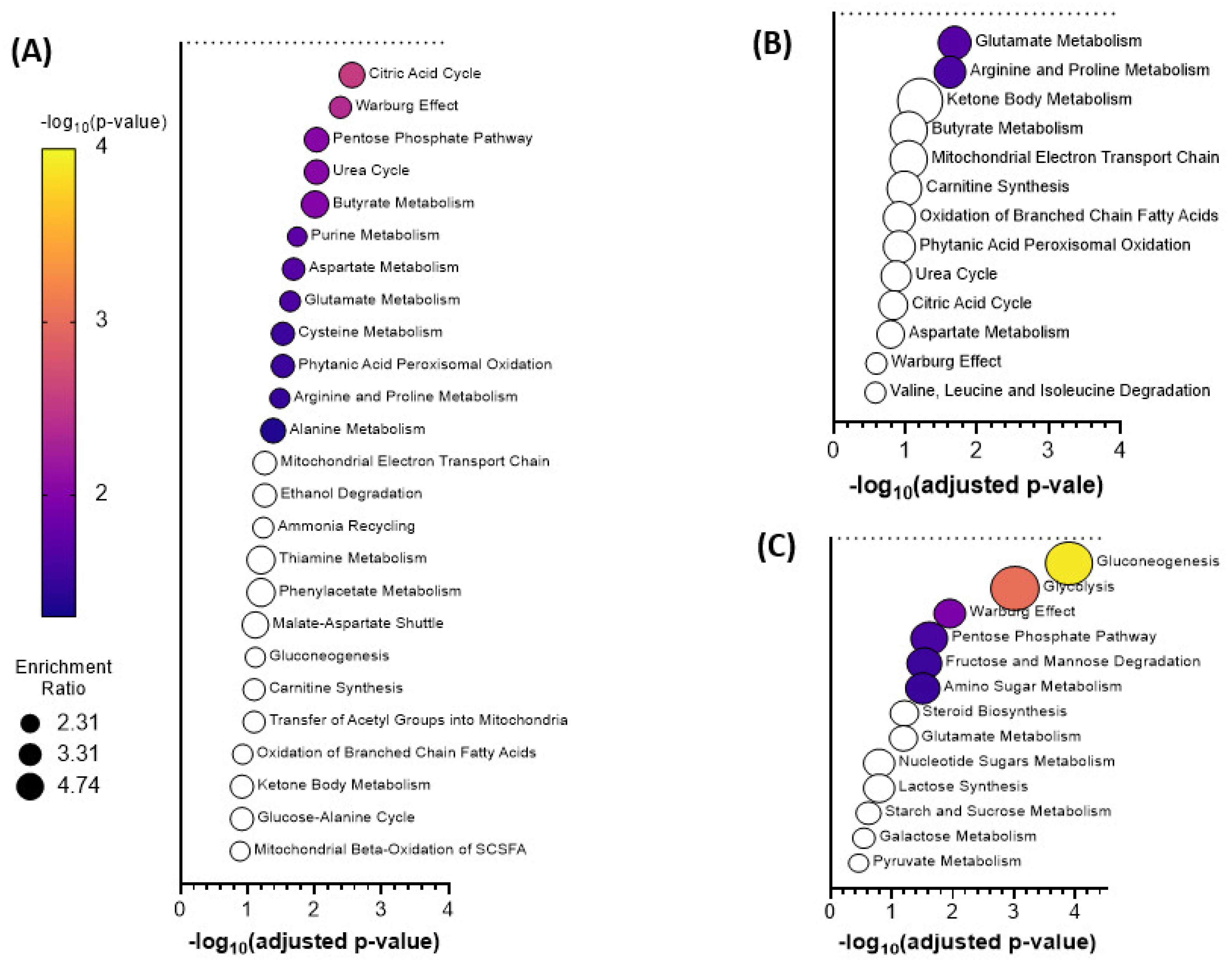 Metabolites 11 00327 g004