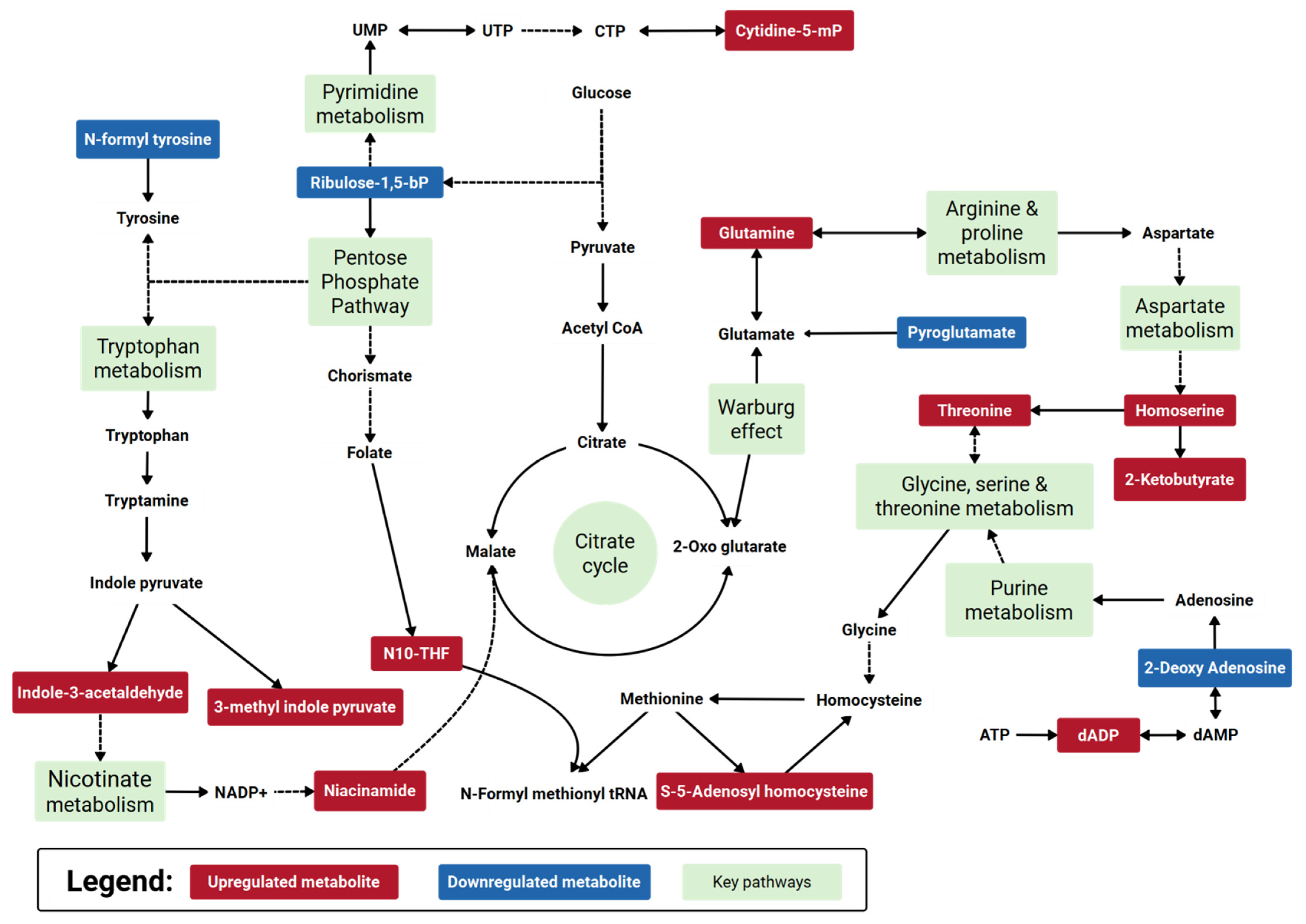 Metabolites 11 00327 g007
