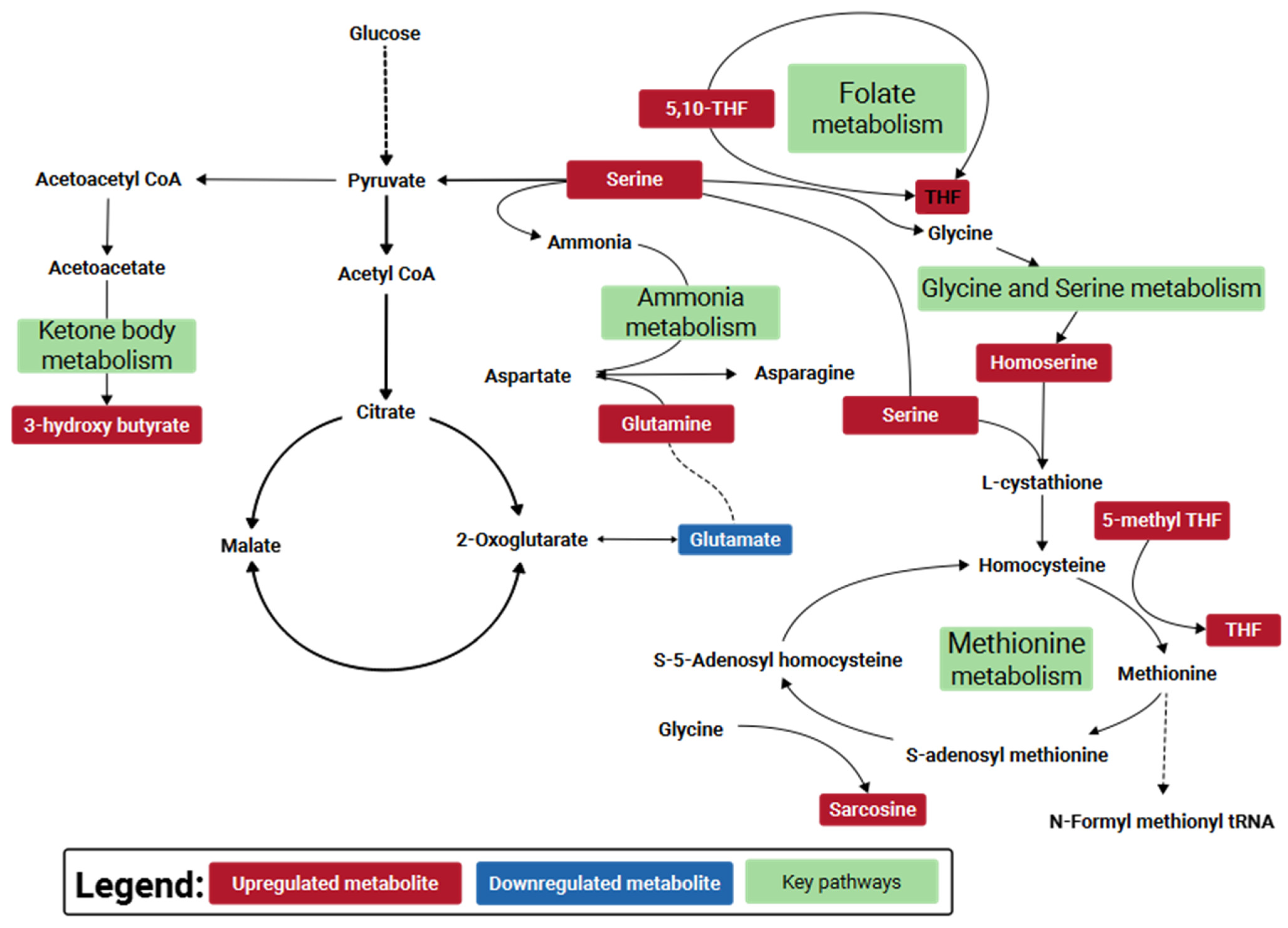 Metabolites 11 00327 g010