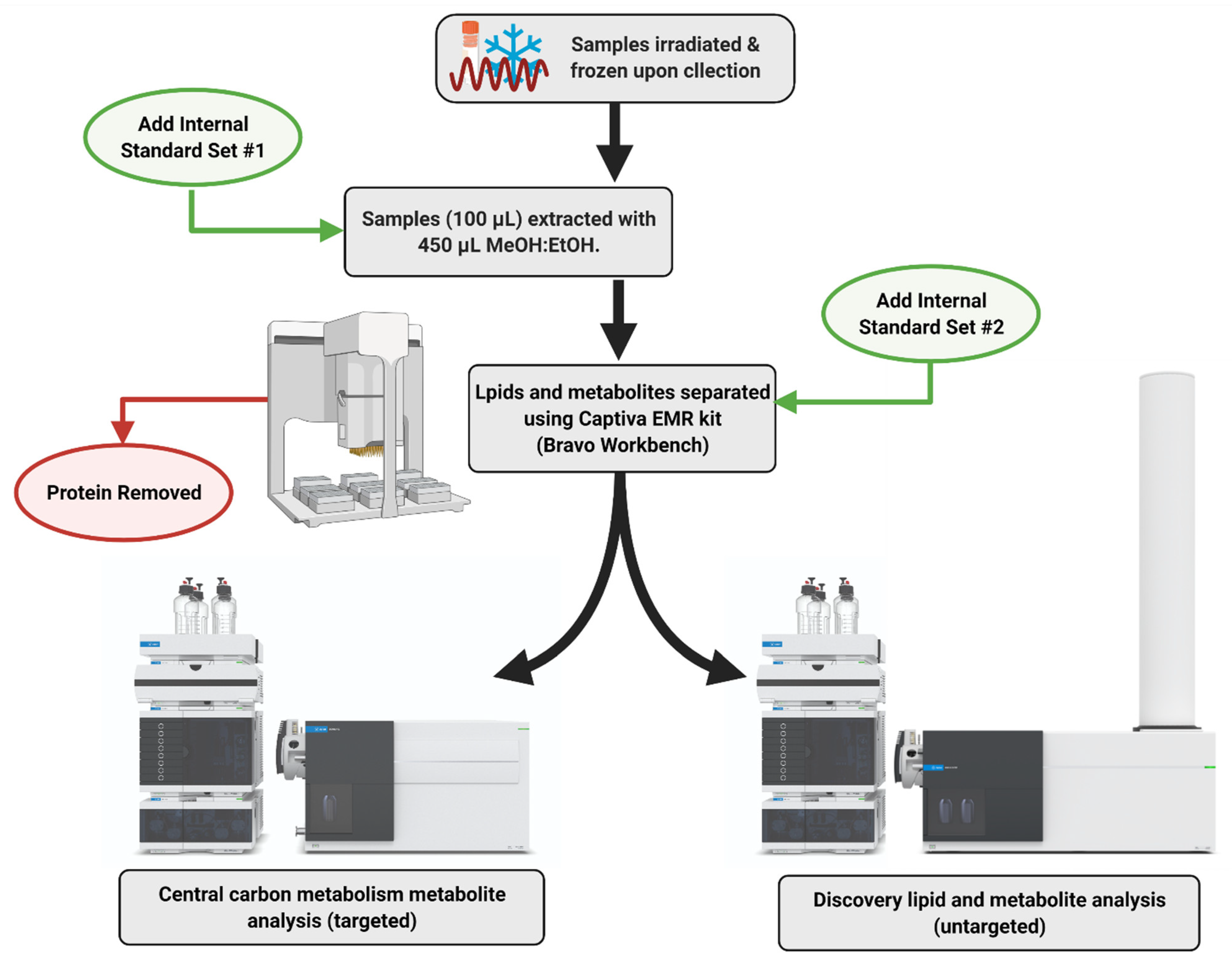Metabolites 11 00327 g011