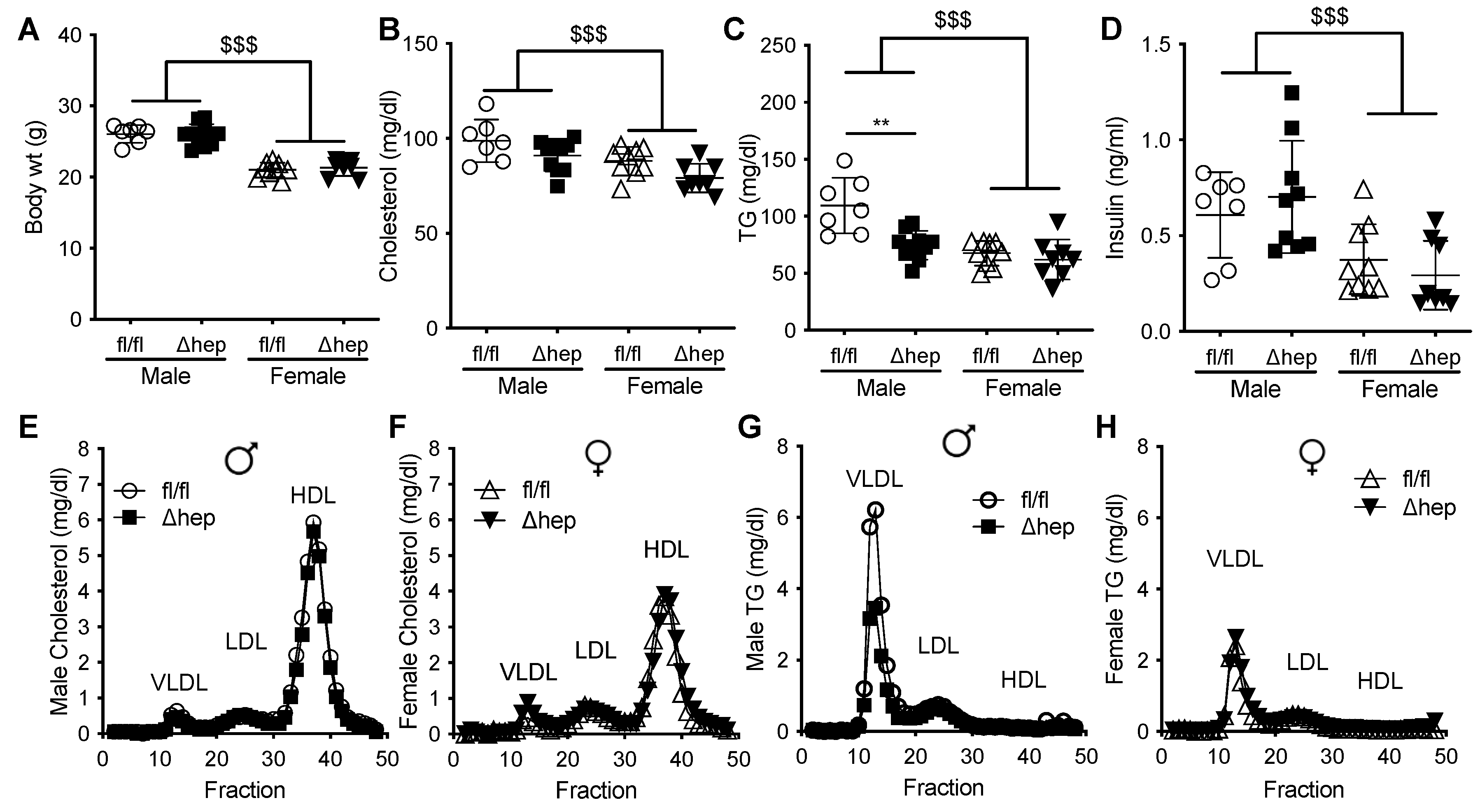 Metabolites 11 00330 g001