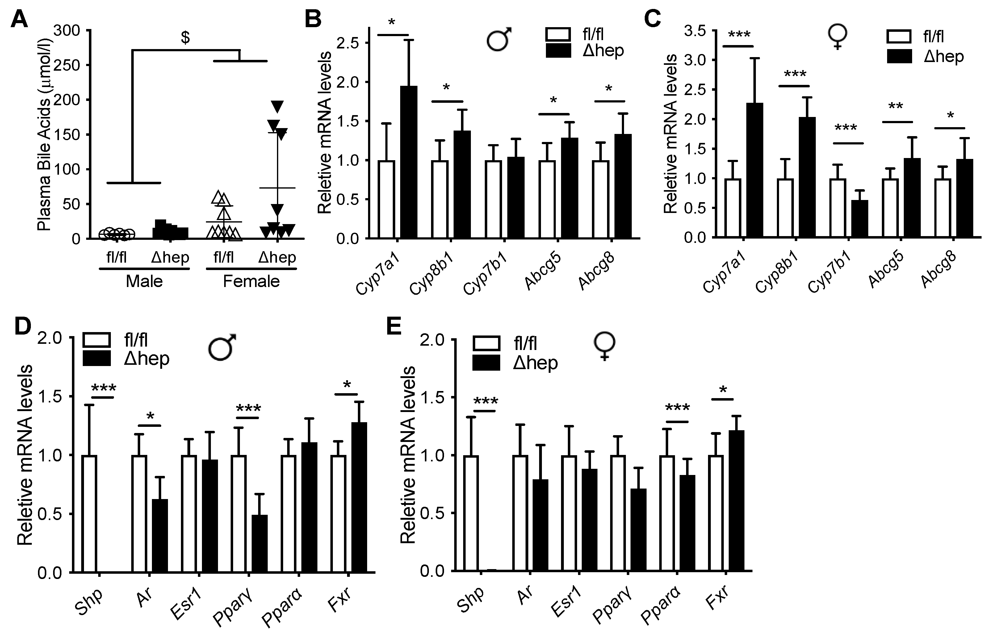 Metabolites 11 00330 g002