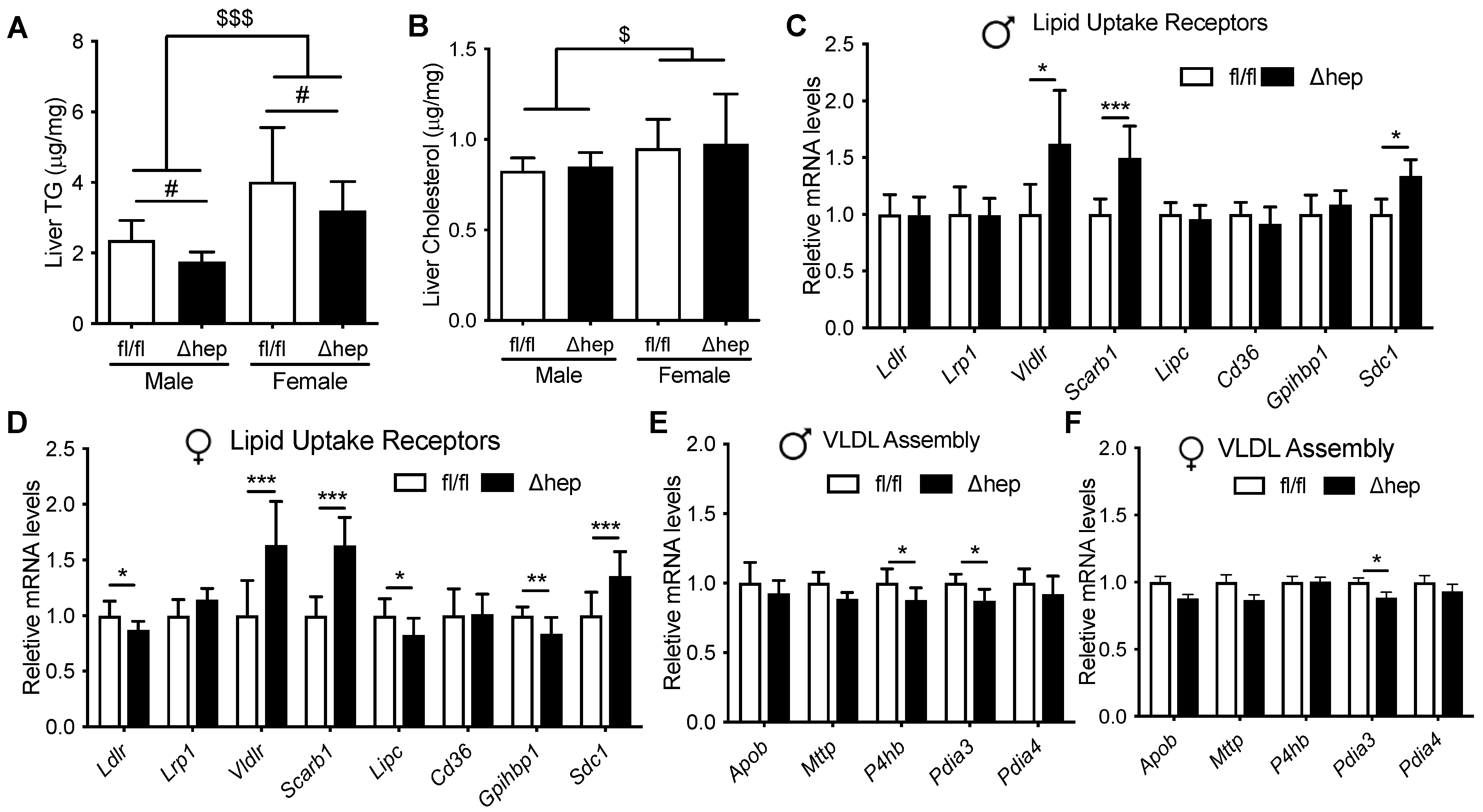 Metabolites 11 00330 g003