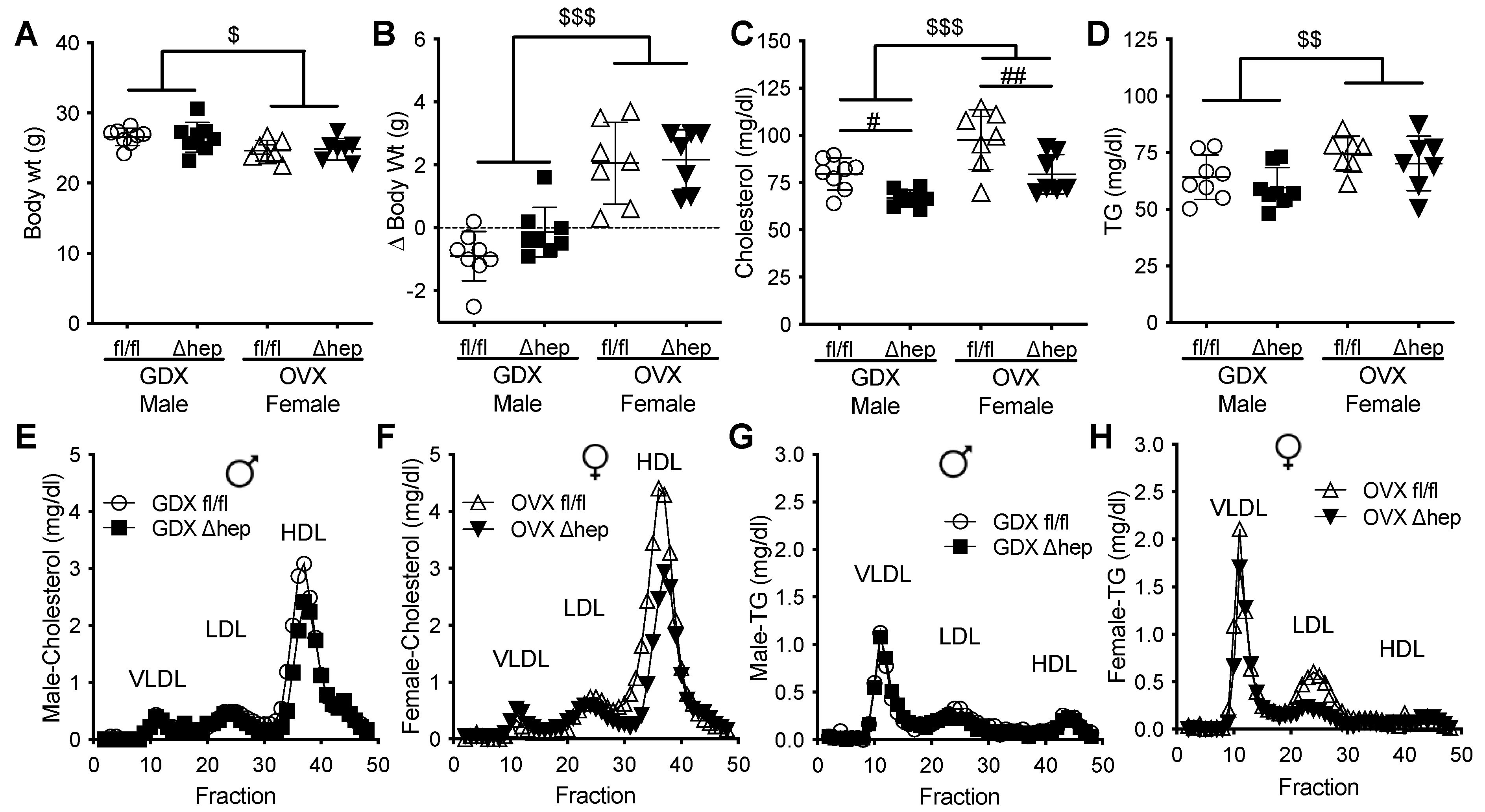 Metabolites 11 00330 g004