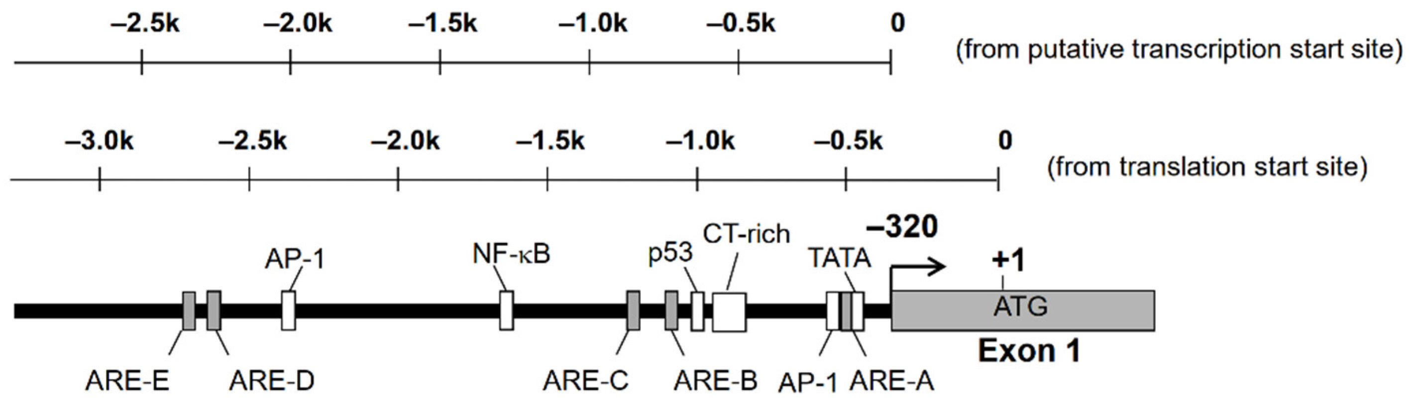 Metabolites 11 00332 g001 Metabolites 11 00332 g001