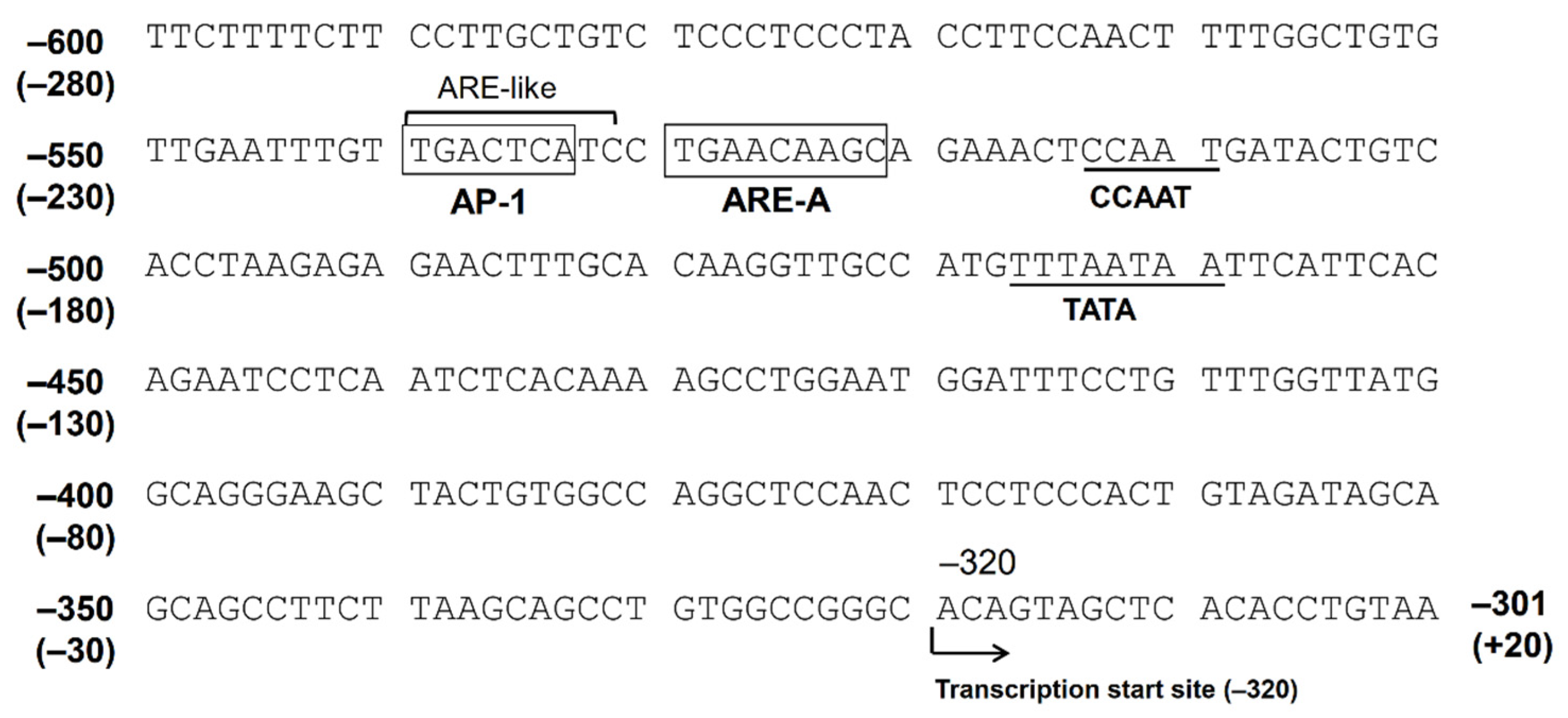 Metabolites 11 00332 g002 Metabolites 11 00332 g002