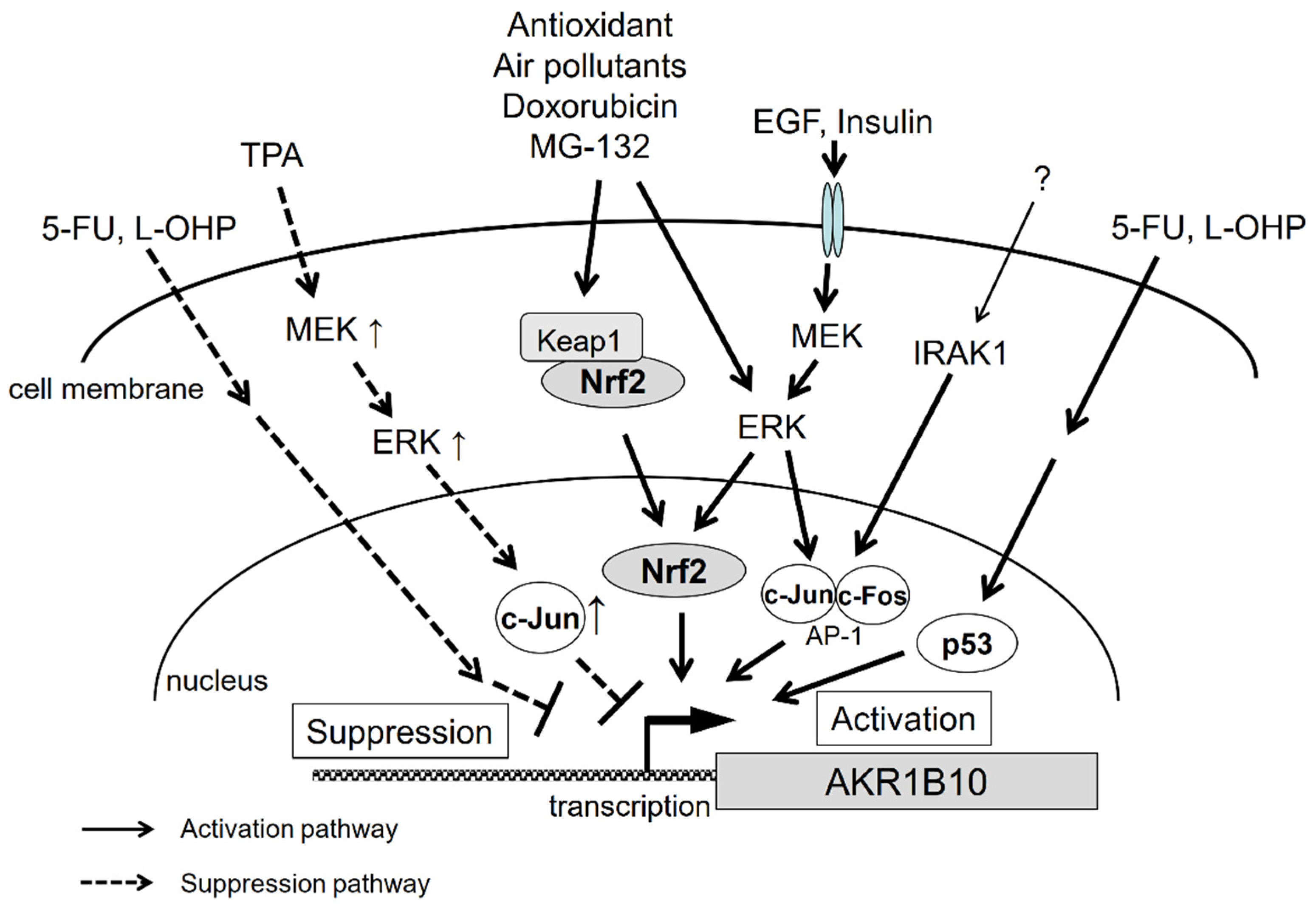 Metabolites 11 00332 g003 Metabolites 11 00332 g003