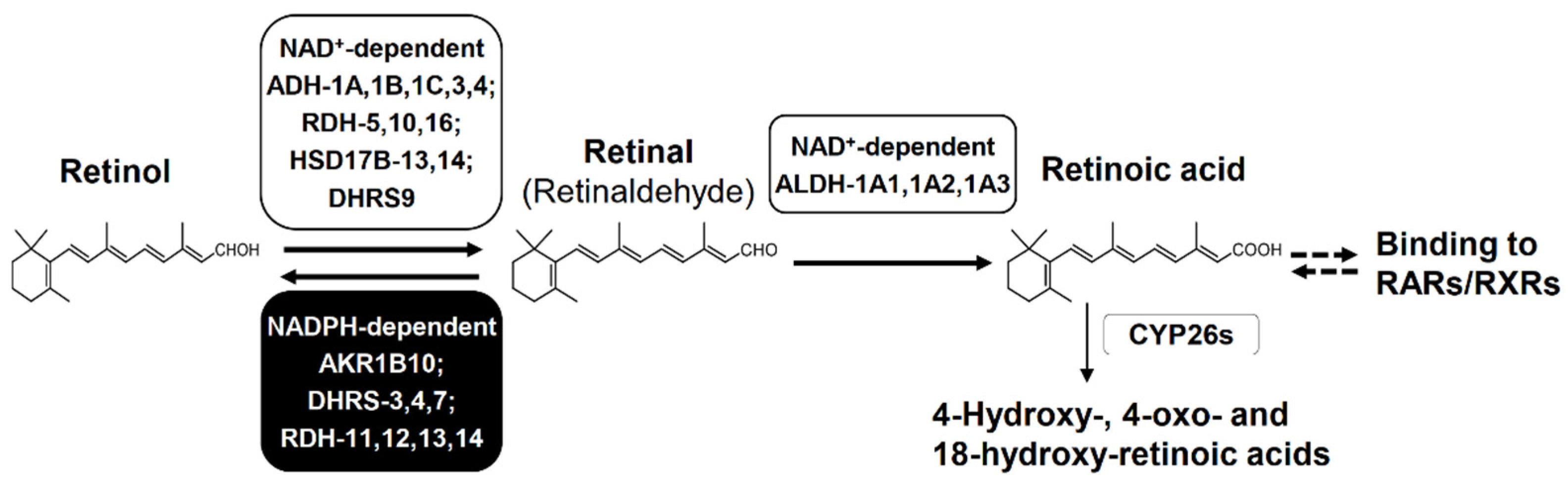 Metabolites 11 00332 g005 Metabolites 11 00332 g005