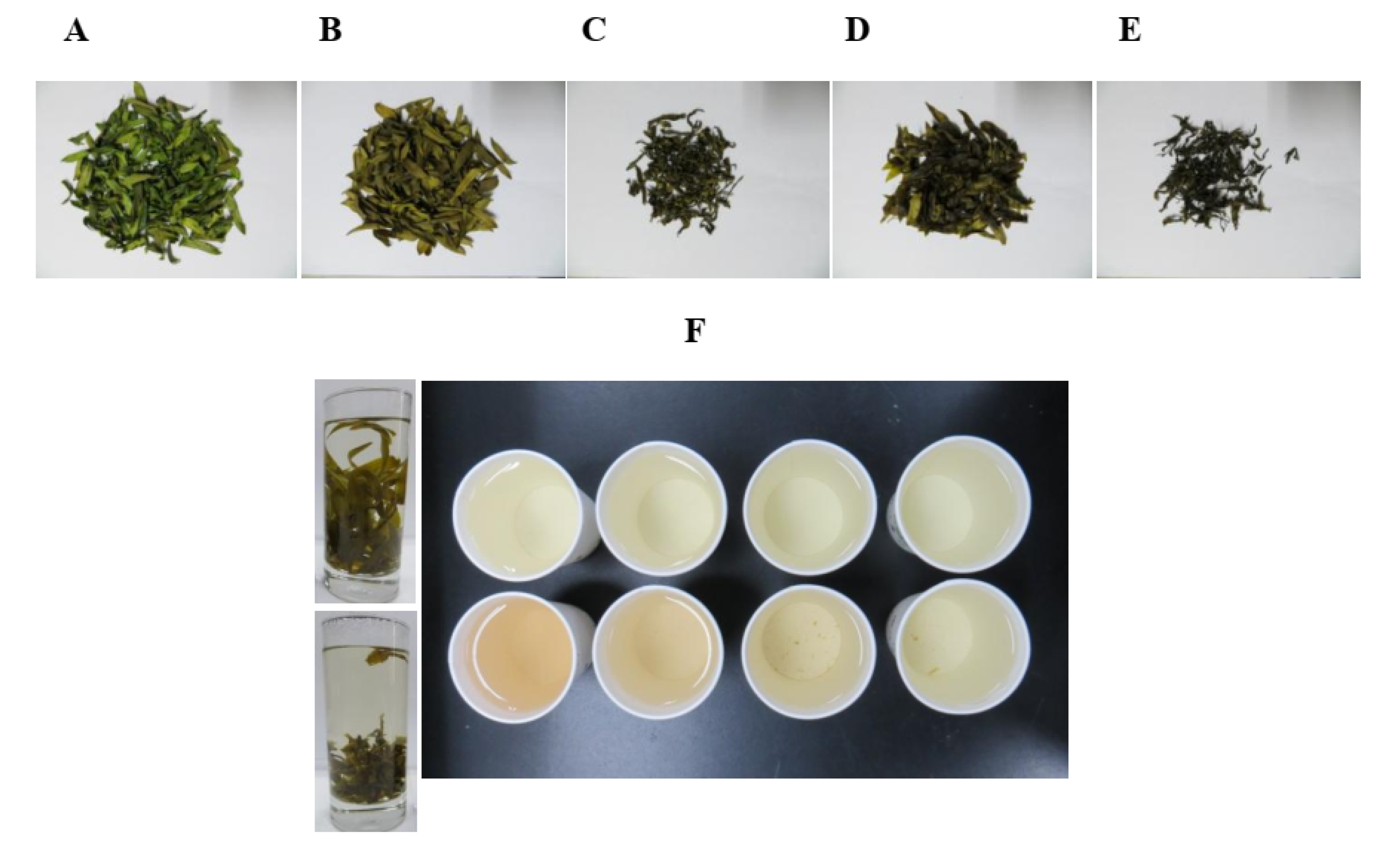 Metabolites 11 00351 g001
