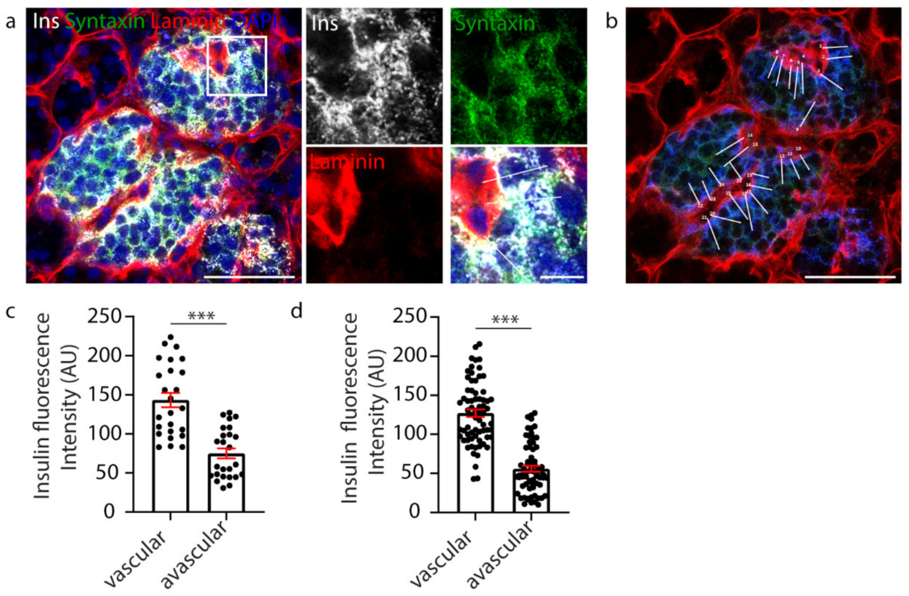 Metabolites 11 00363 g001
