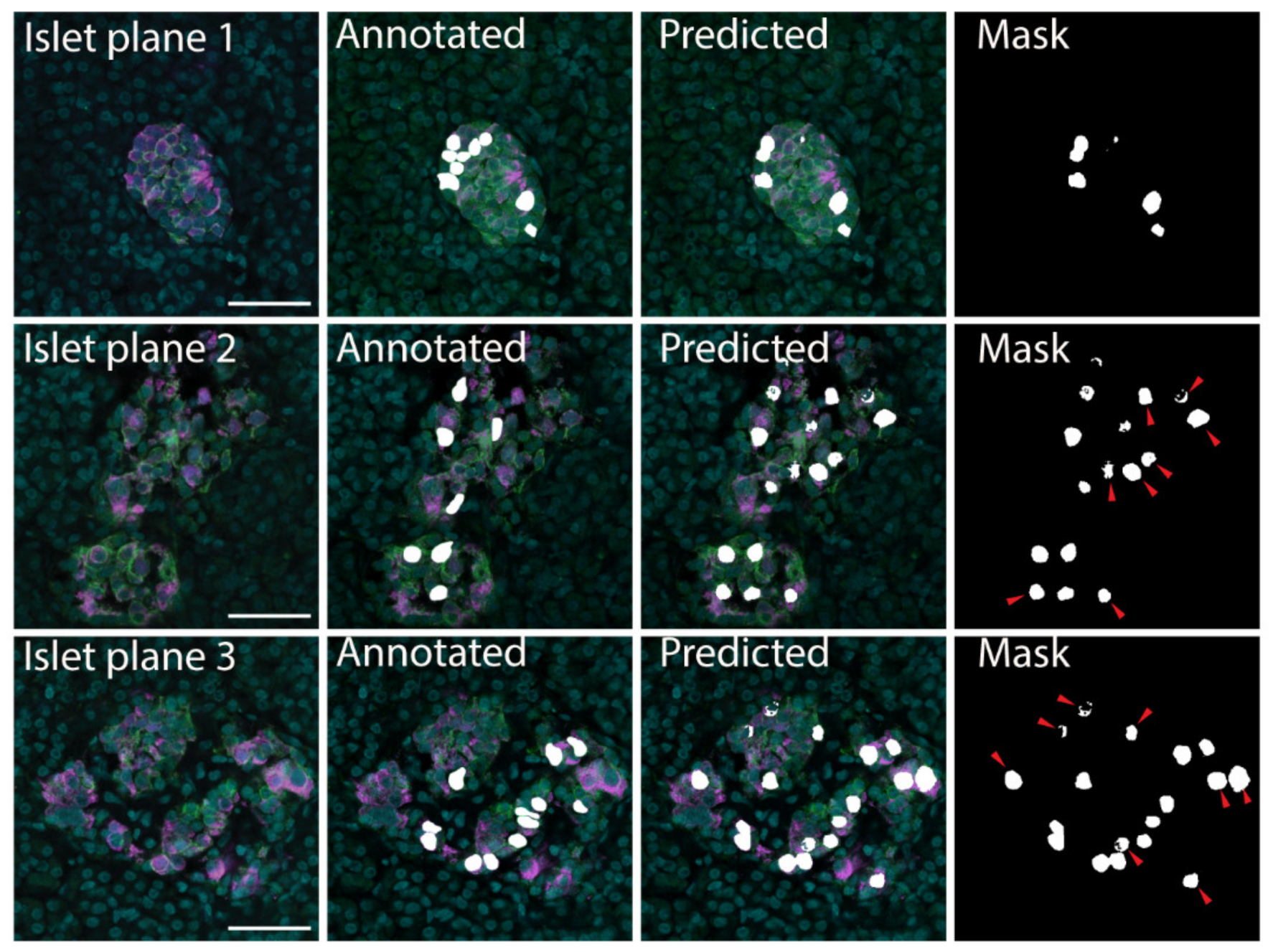 Metabolites 11 00363 g002