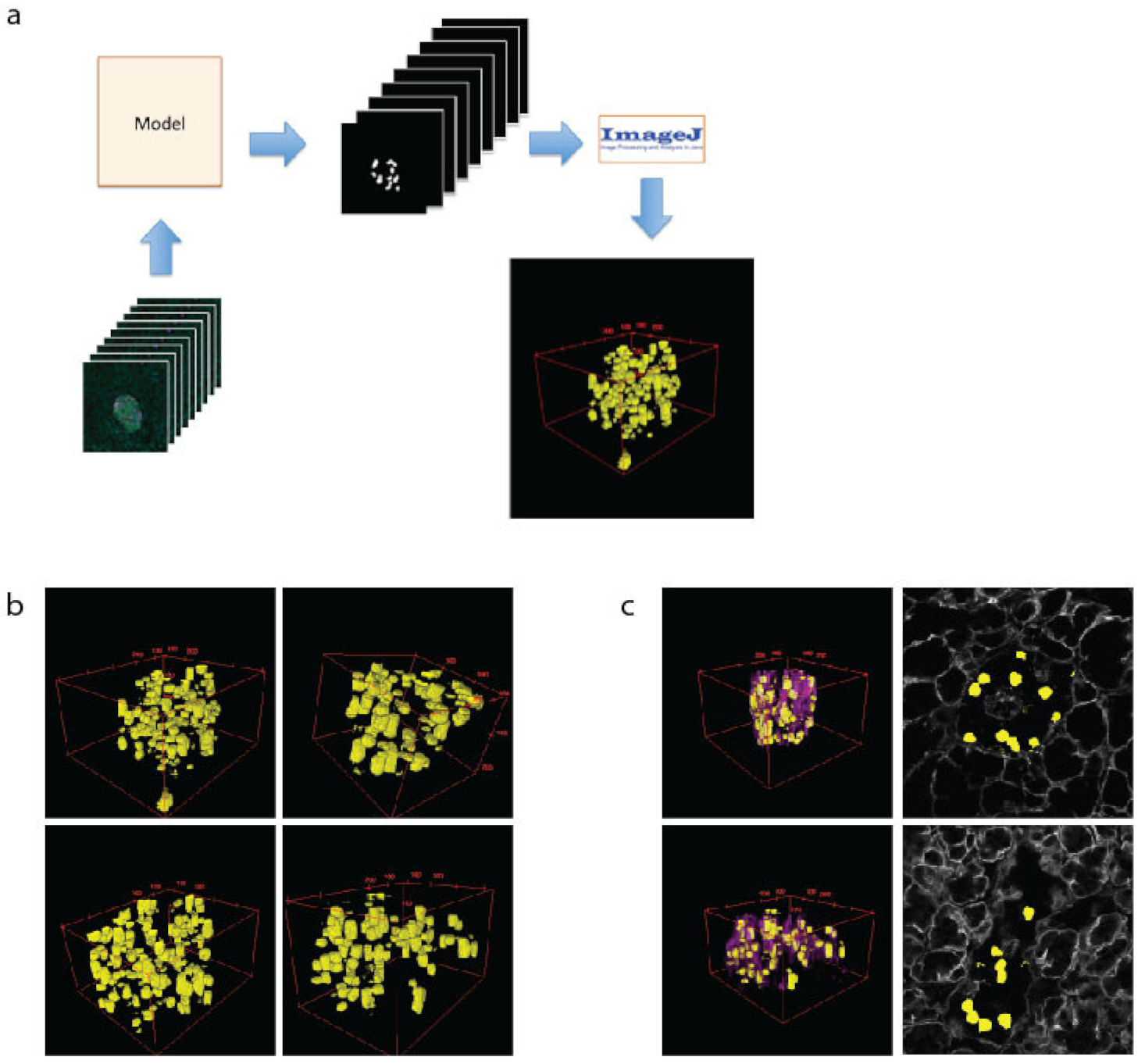 Metabolites 11 00363 g003