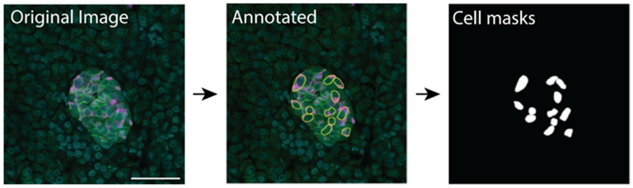 Metabolites 11 00363 g005