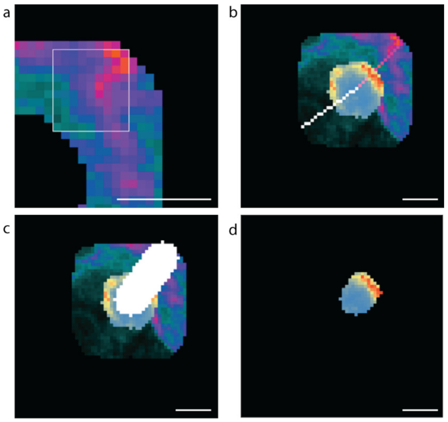 Metabolites 11 00363 g008