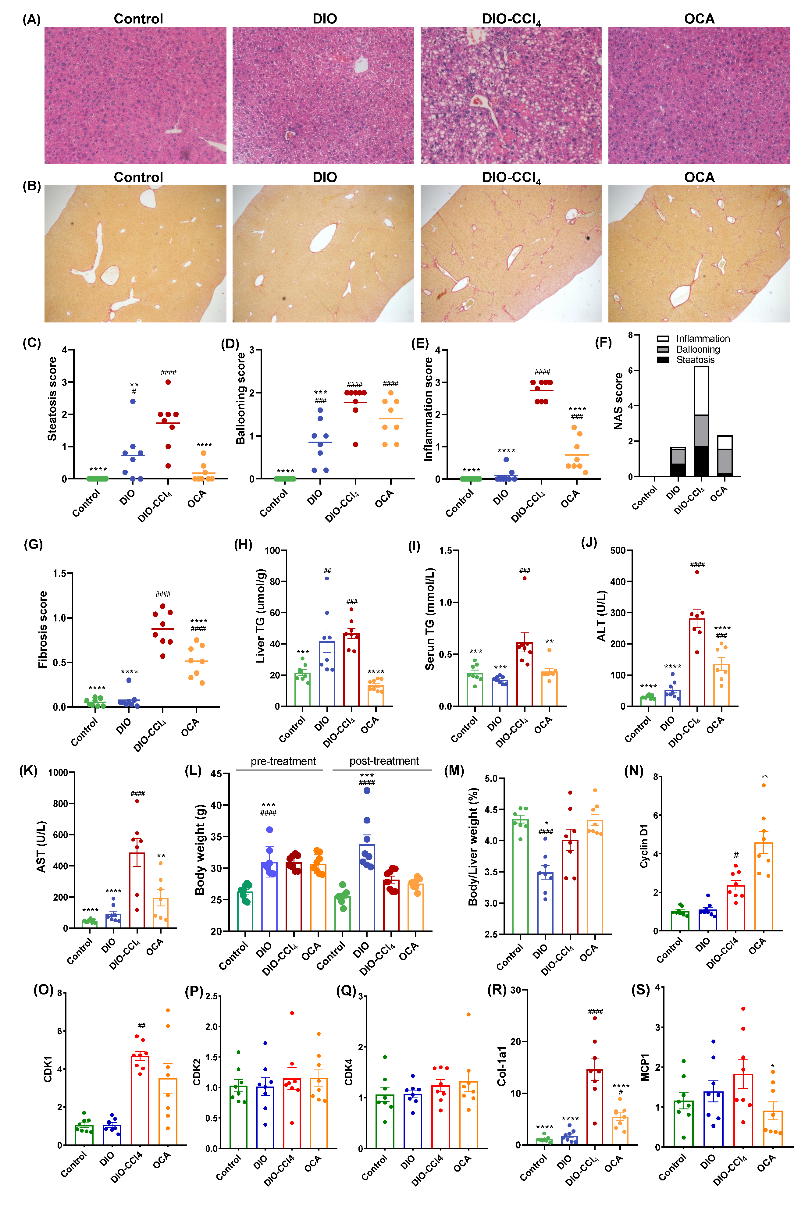 Metabolites 11 00374 g001 Metabolites 11 00374 g001