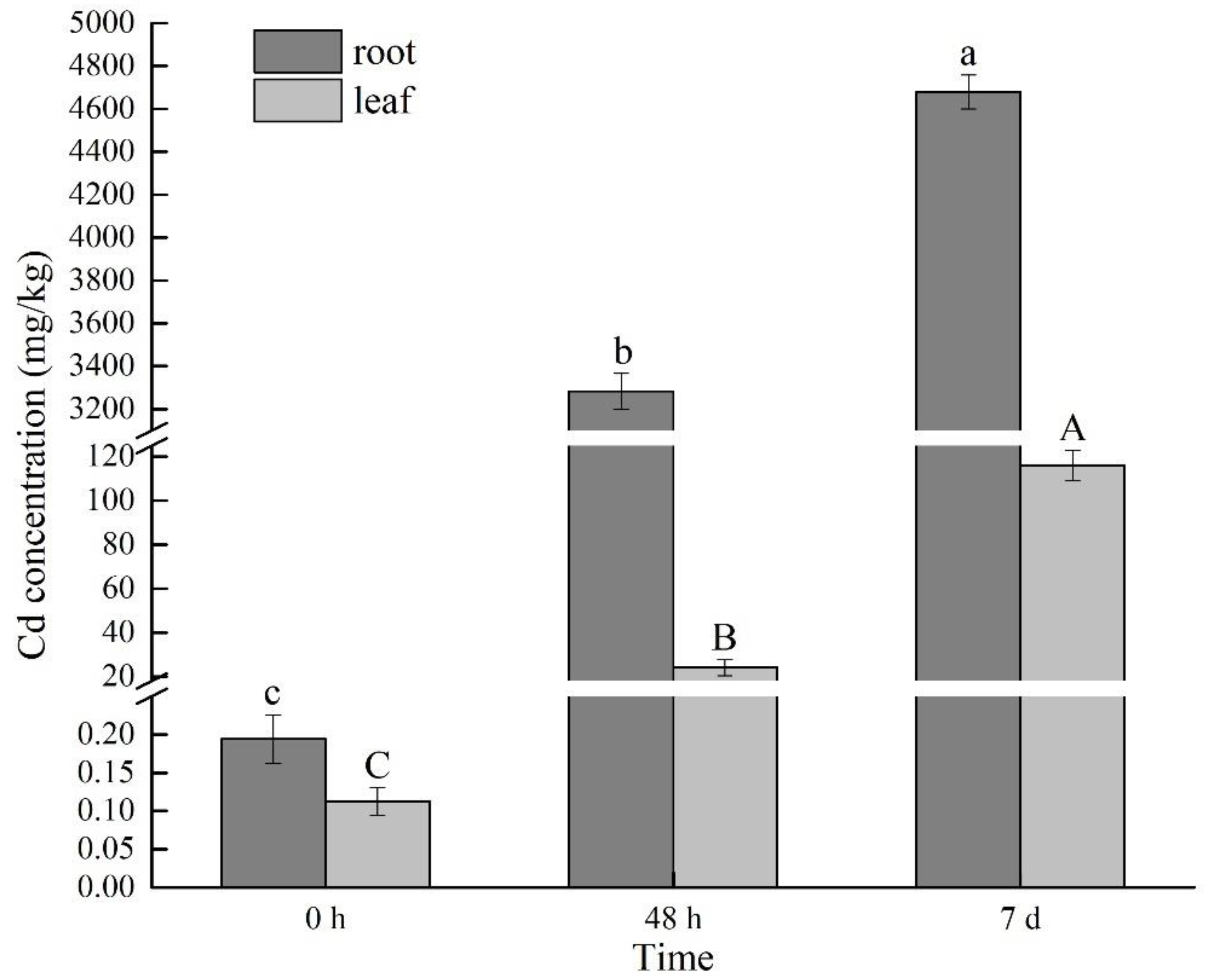 Metabolites 11 00383 g001