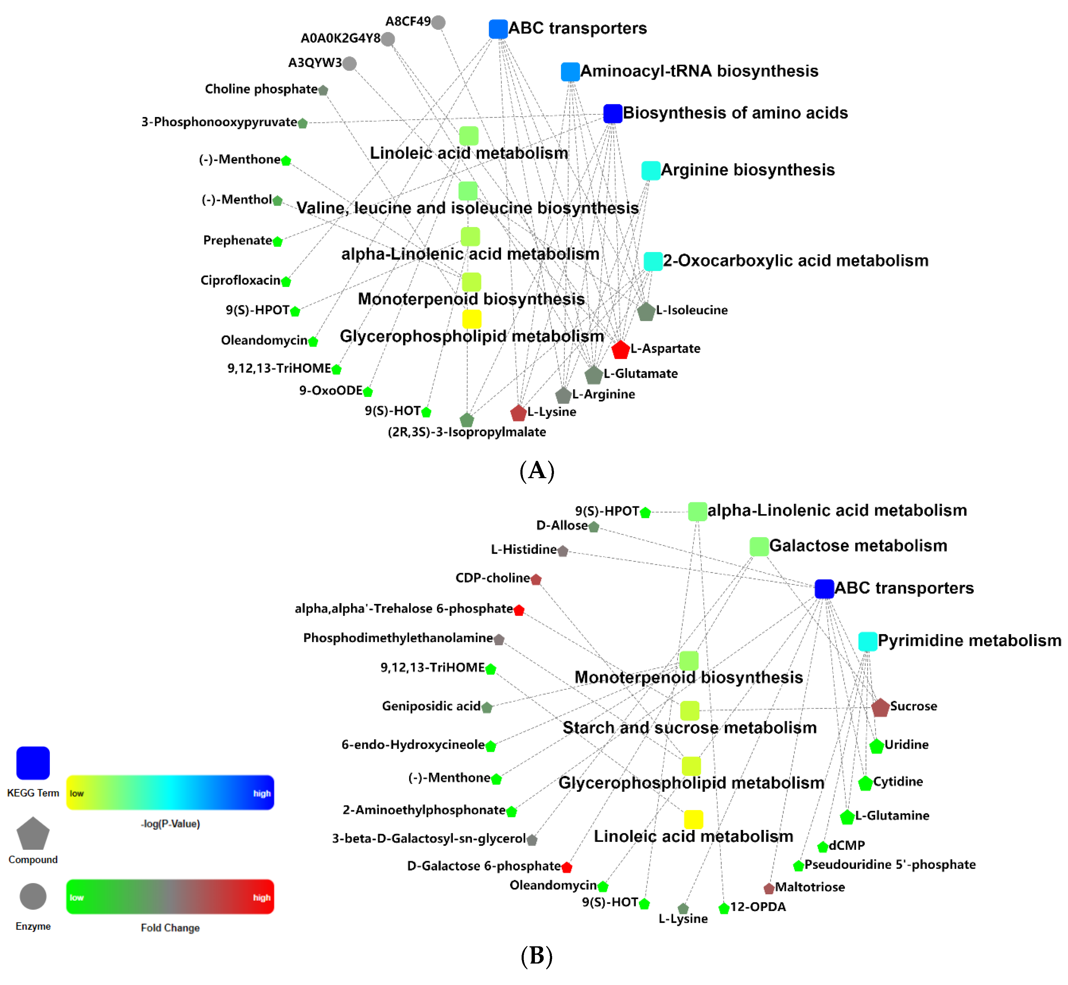 Metabolites 11 00383 g006