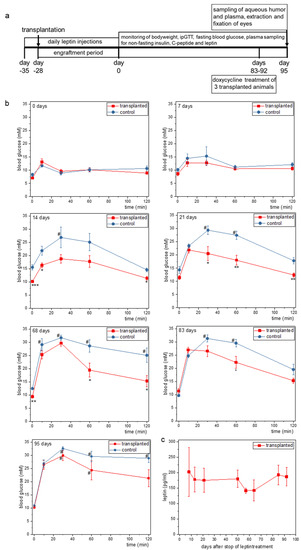 Metabolites 11 00387 g0a2