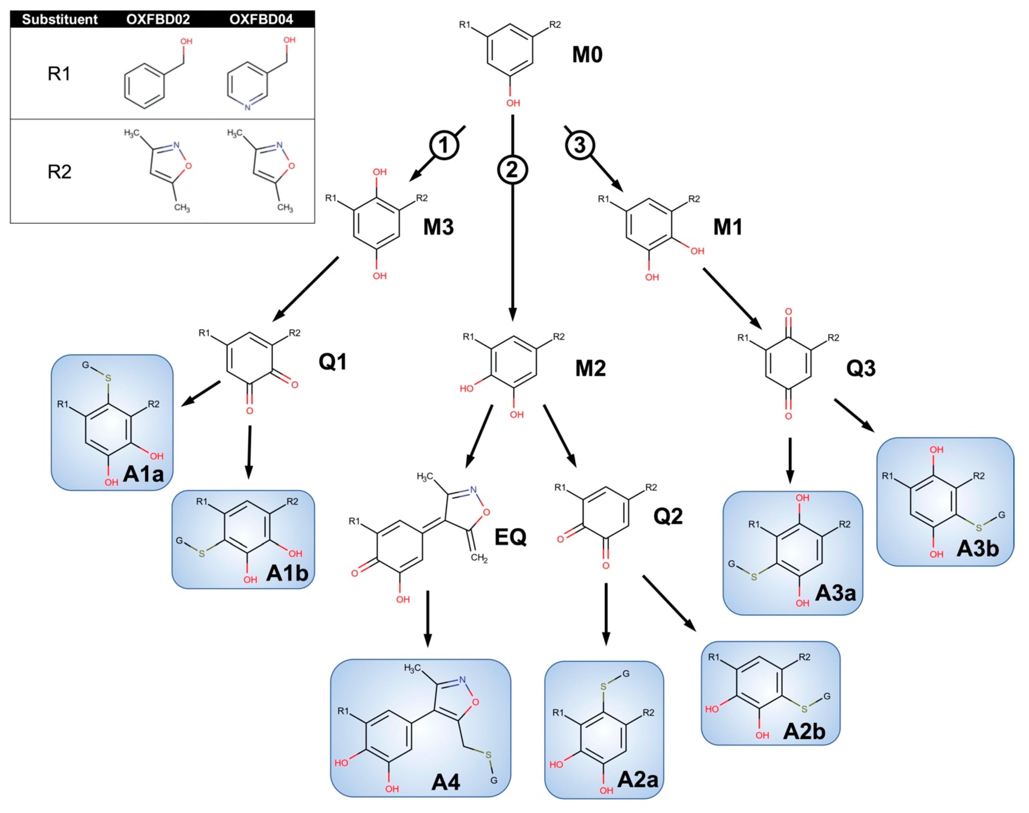 Metabolites 11 00390 g003 Metabolites 11 00390 g003