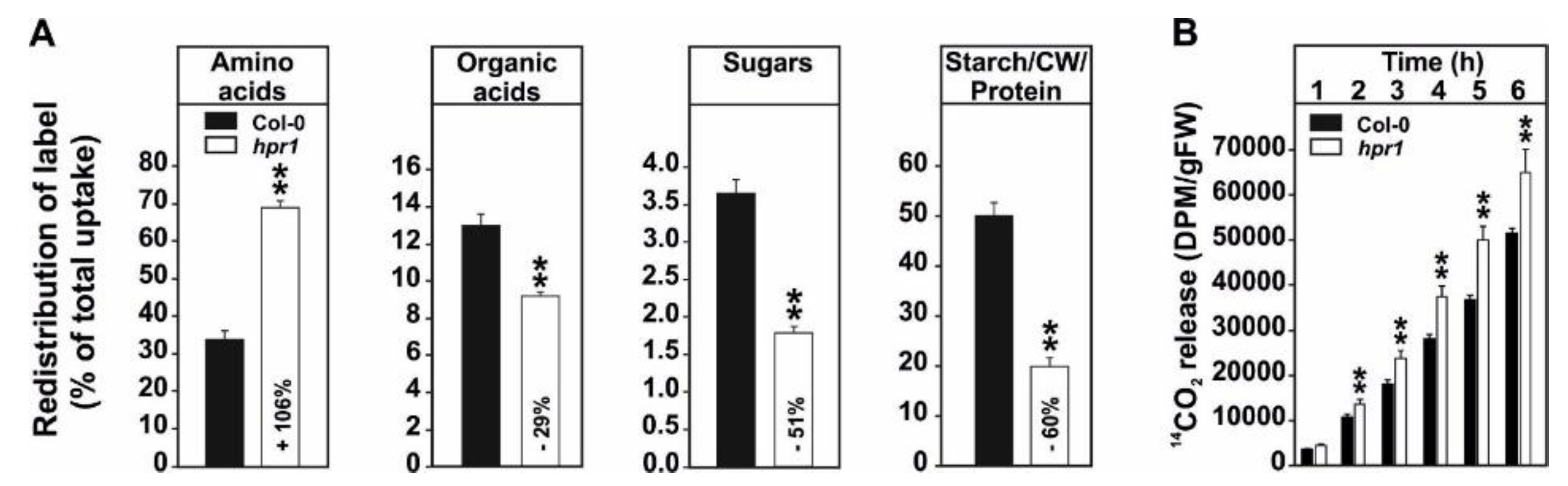 Metabolites 11 00391 g002 Metabolites 11 00391 g002
